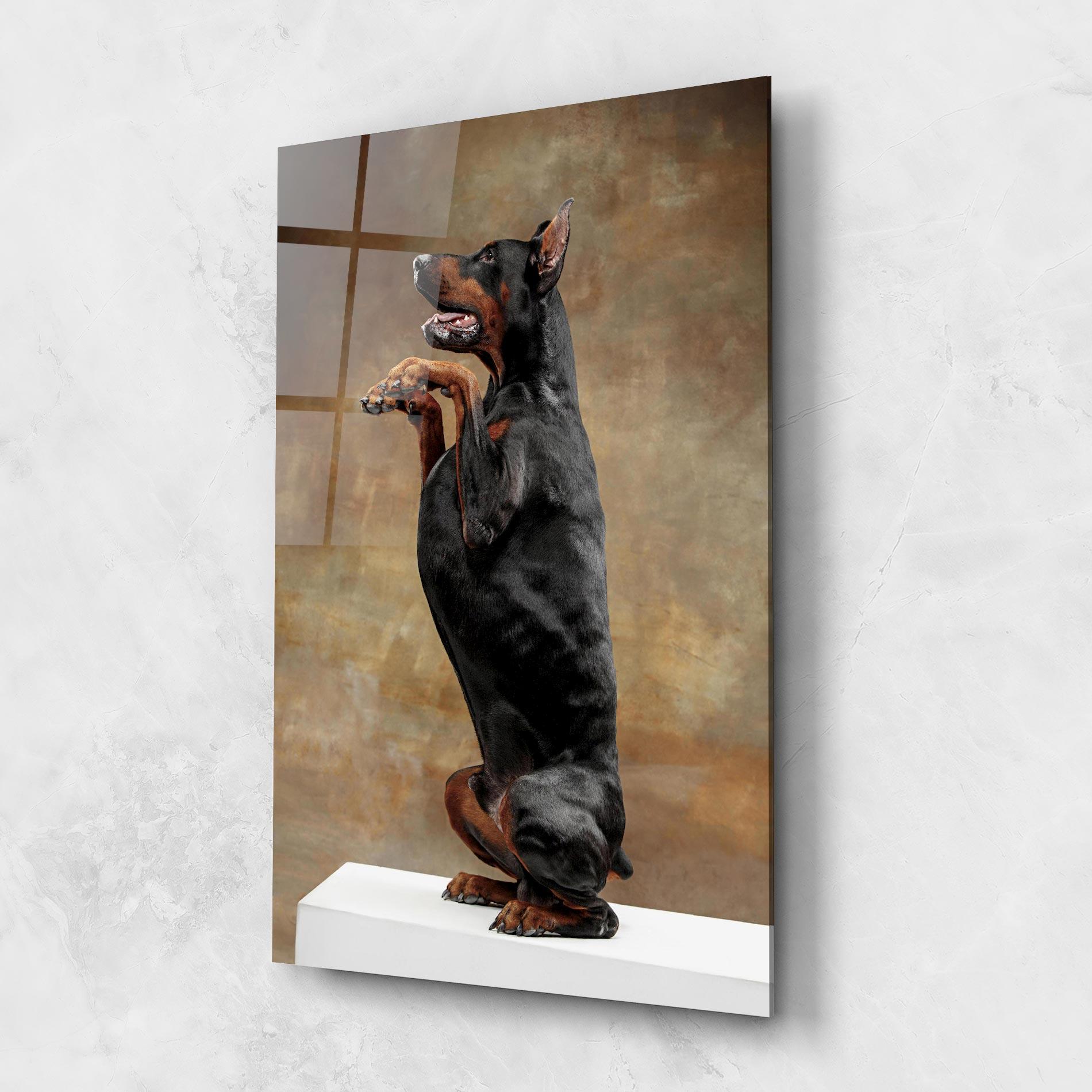Стъклена картина Doberman Standing mockup 1