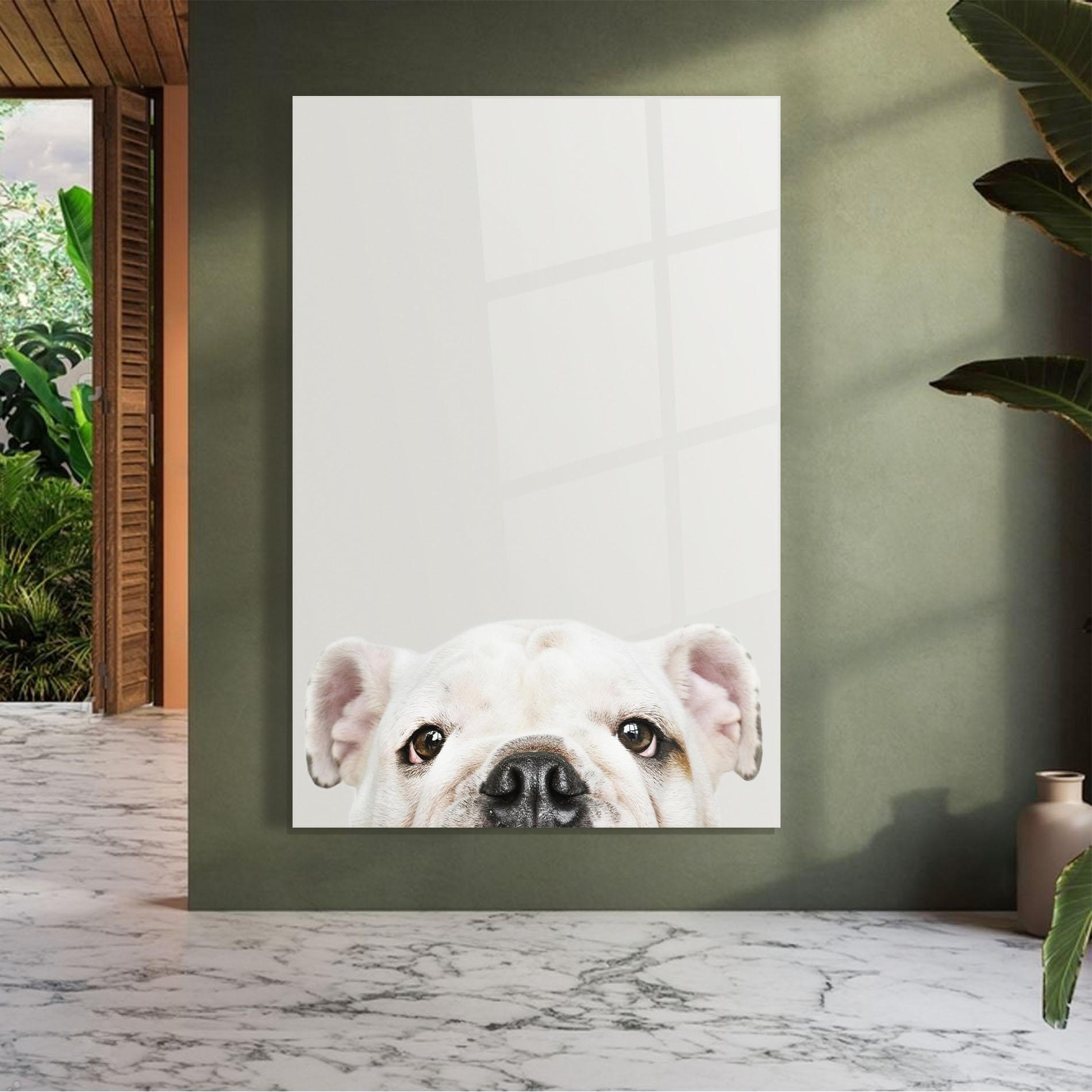 Стъклена картина Bulldog Eyes mockup 7