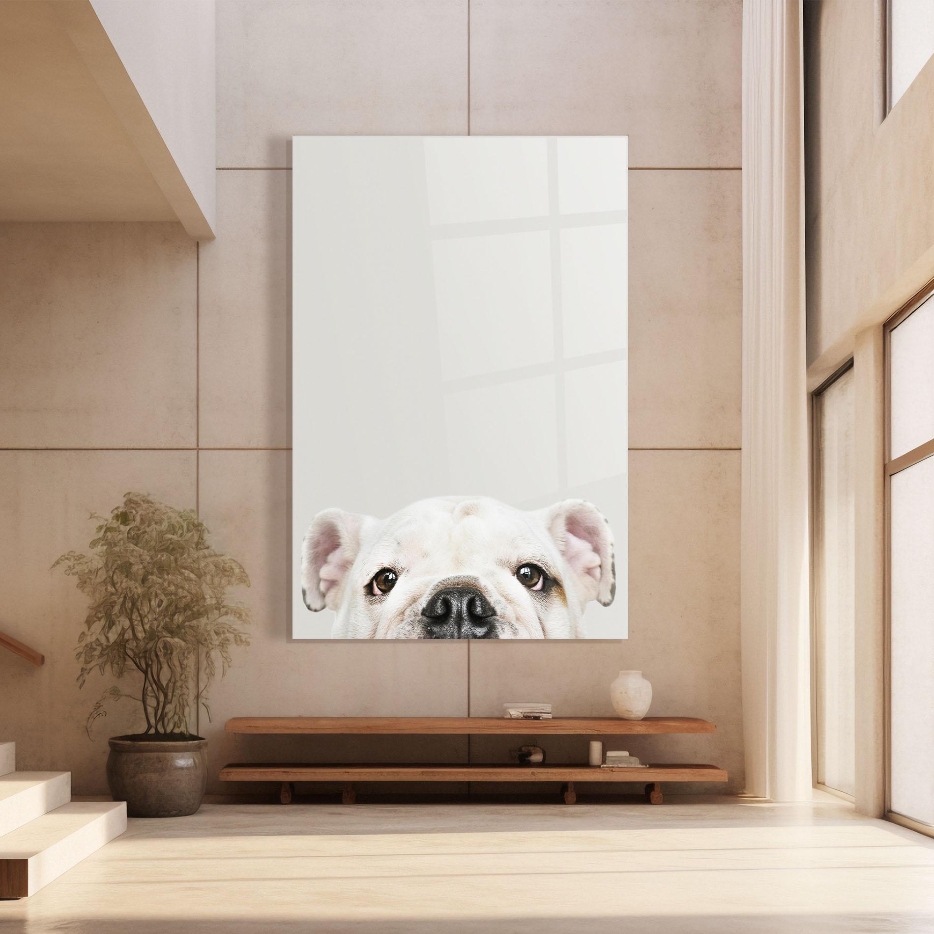 Стъклена картина Bulldog Eyes mockup 8