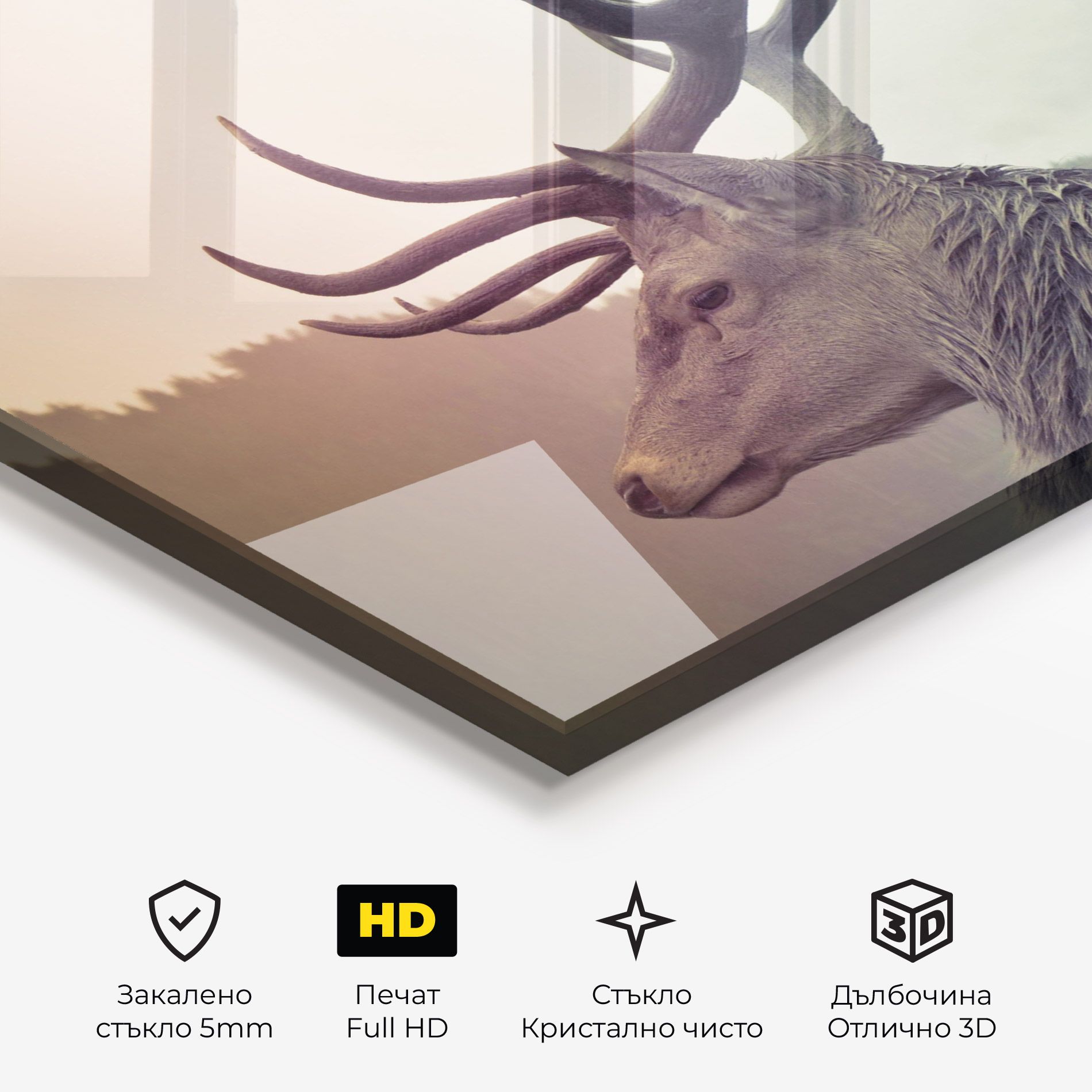 King Of The Forest mockup 3