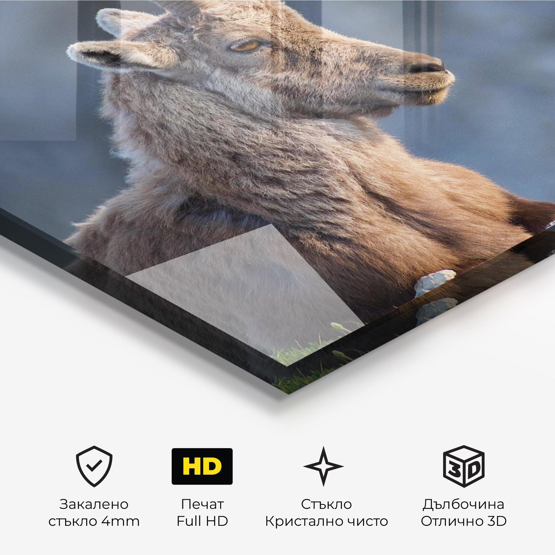 Стъклена картина Mountain Goat mockup 3