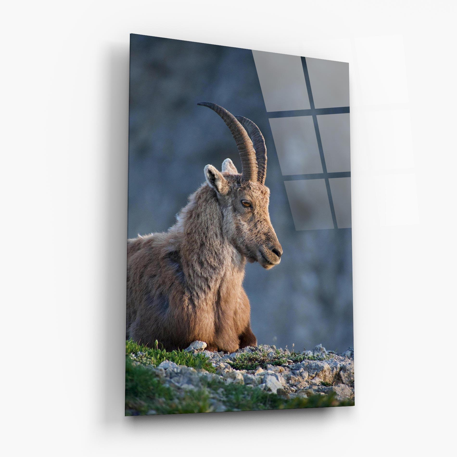 Стъклена картина Mountain Goat mockup 6