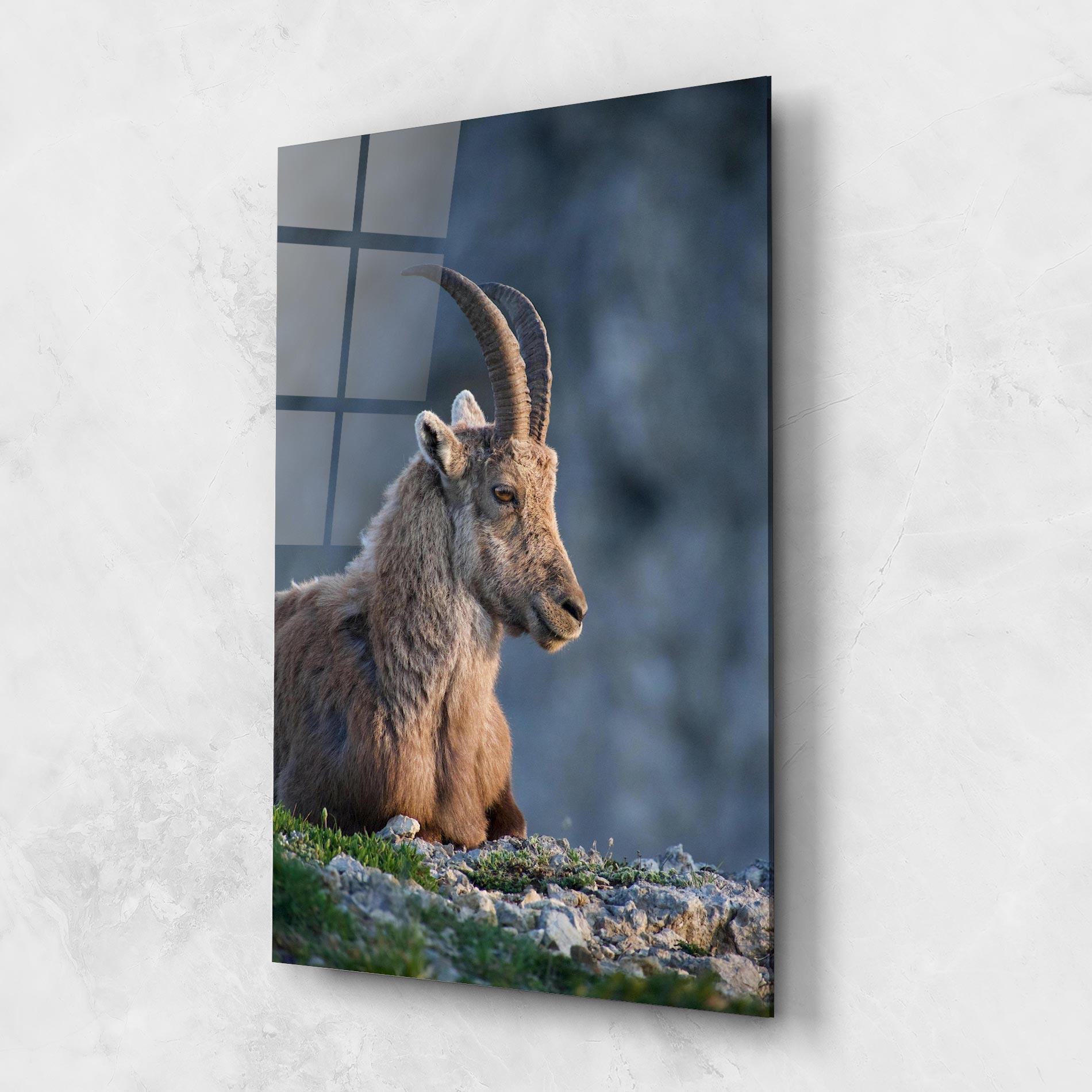 Стъклена картина Mountain Goat mockup 1