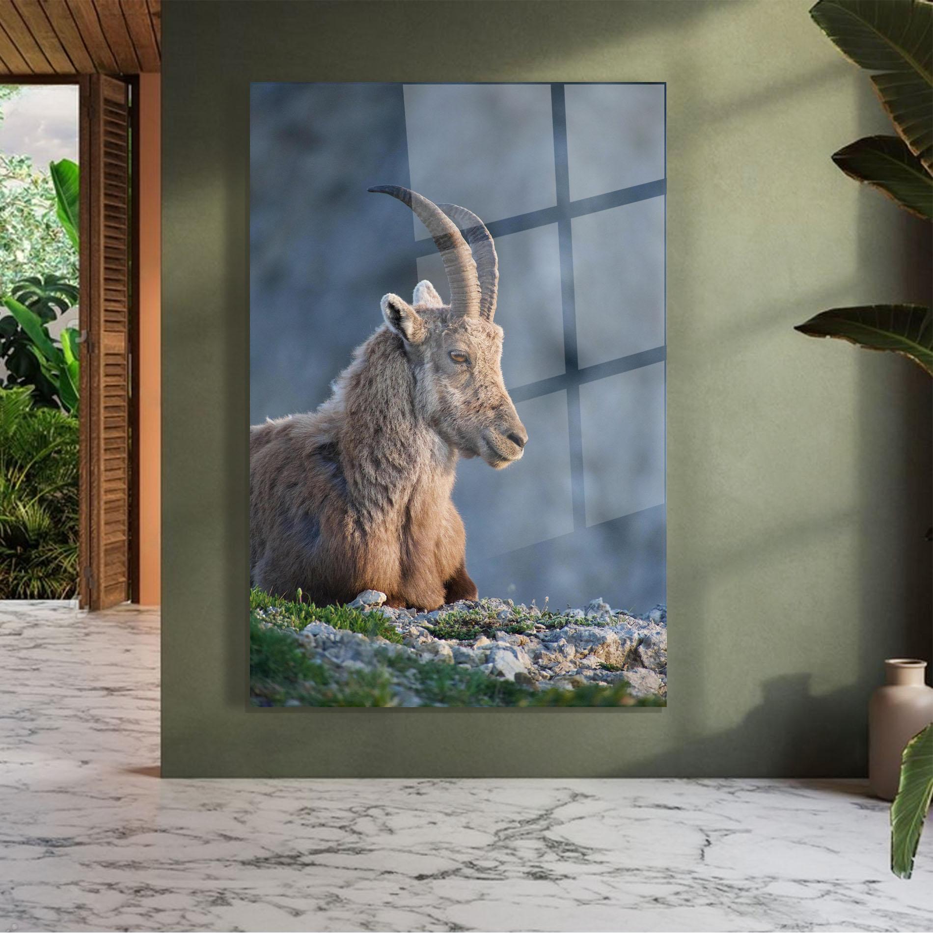 Стъклена картина Mountain Goat mockup 7