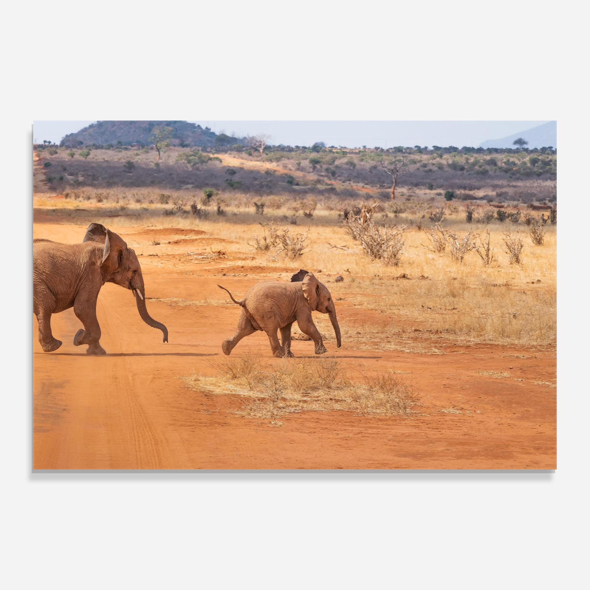 Стъклена картина Desert Safari mockup 0