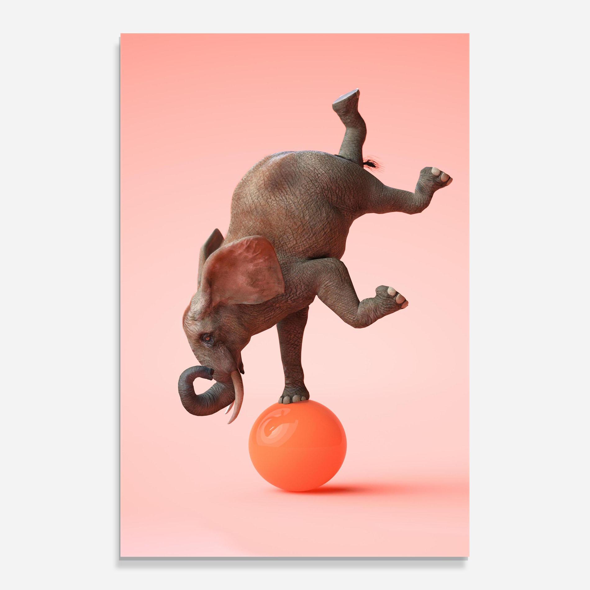 Стъклена картина Ball Elephant mockup 0