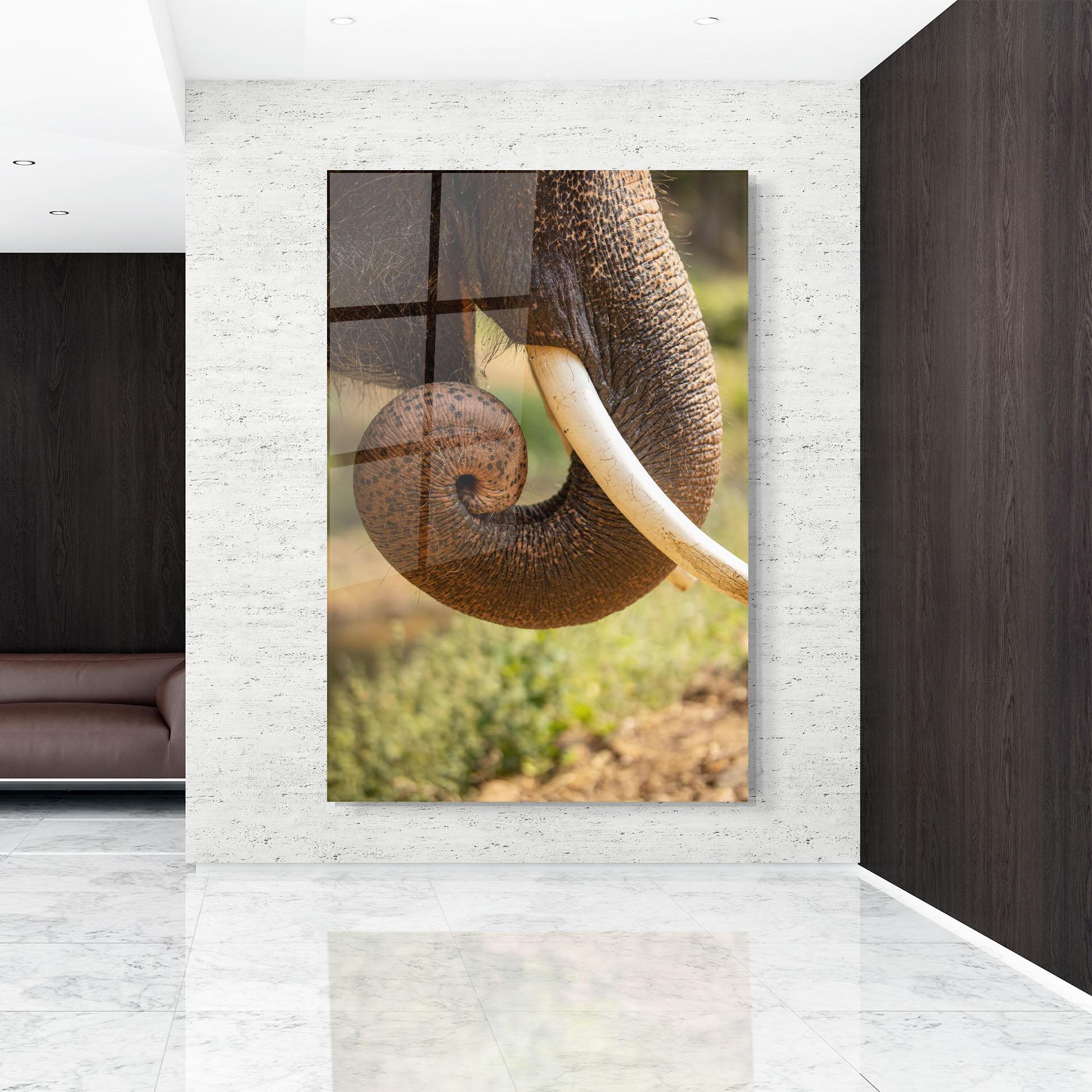 Стъклена картина Elephant Mouth Close Up mockup 9