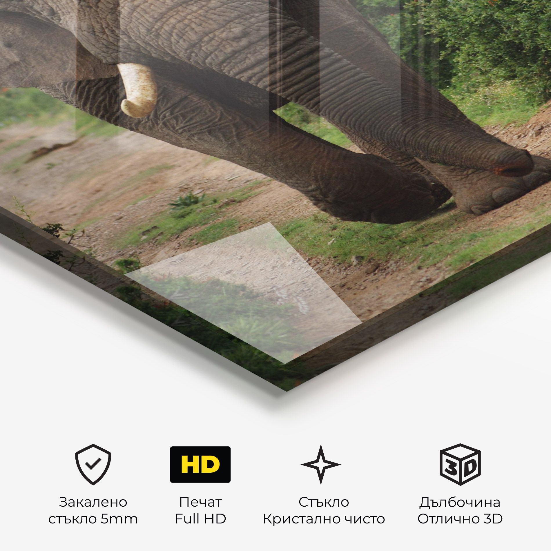 Elephant Safari mockup 3