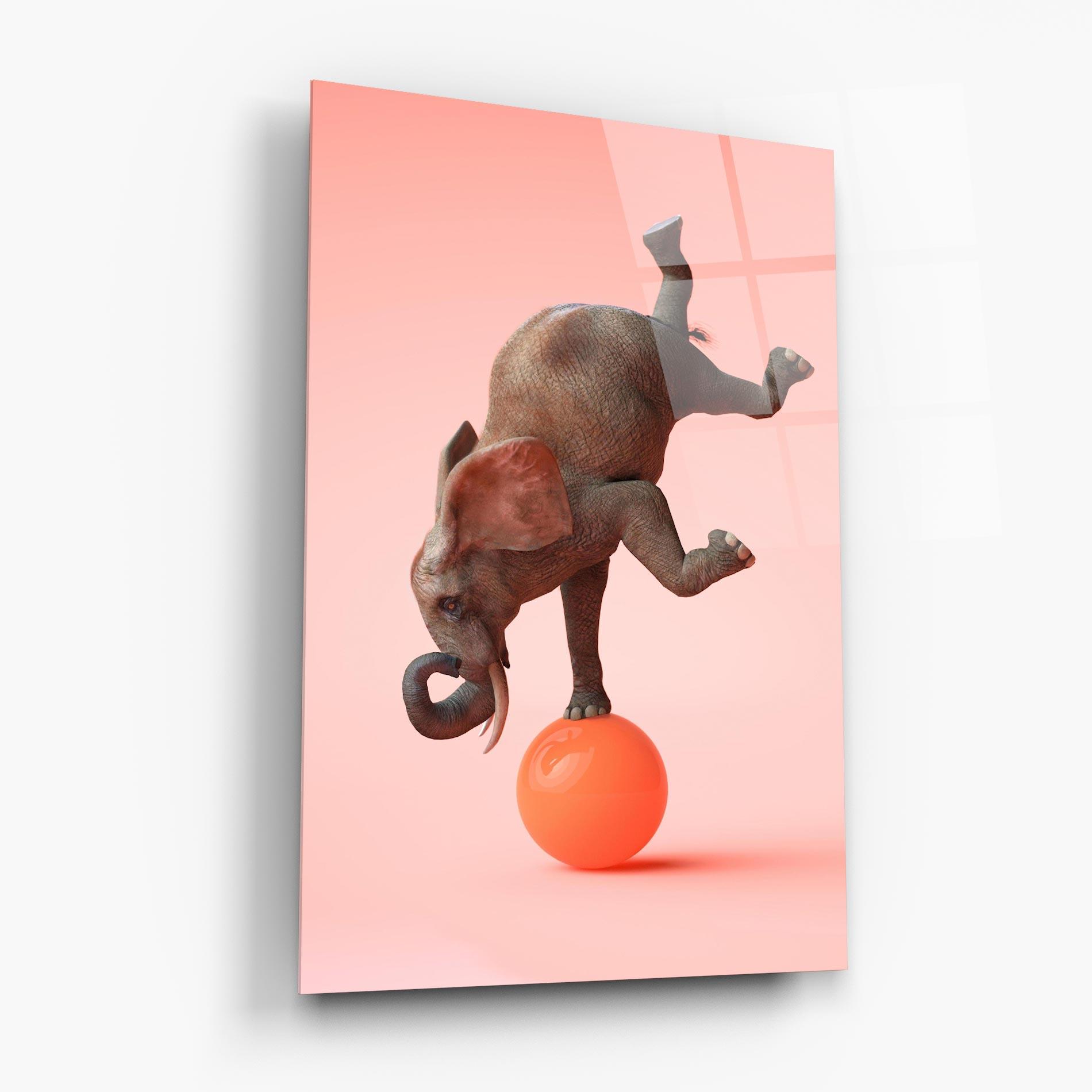 Стъклена картина Ball Elephant mockup 6