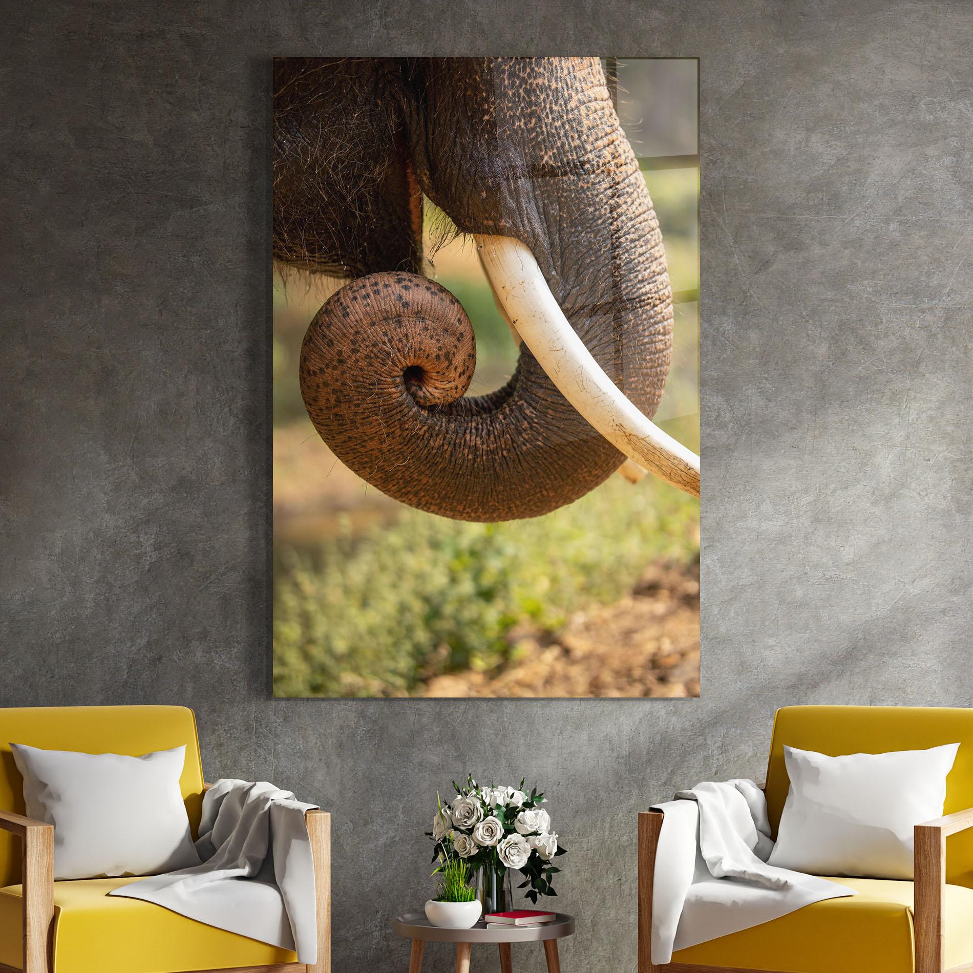 Стъклена картина Elephant Mouth Close Up mockup 4