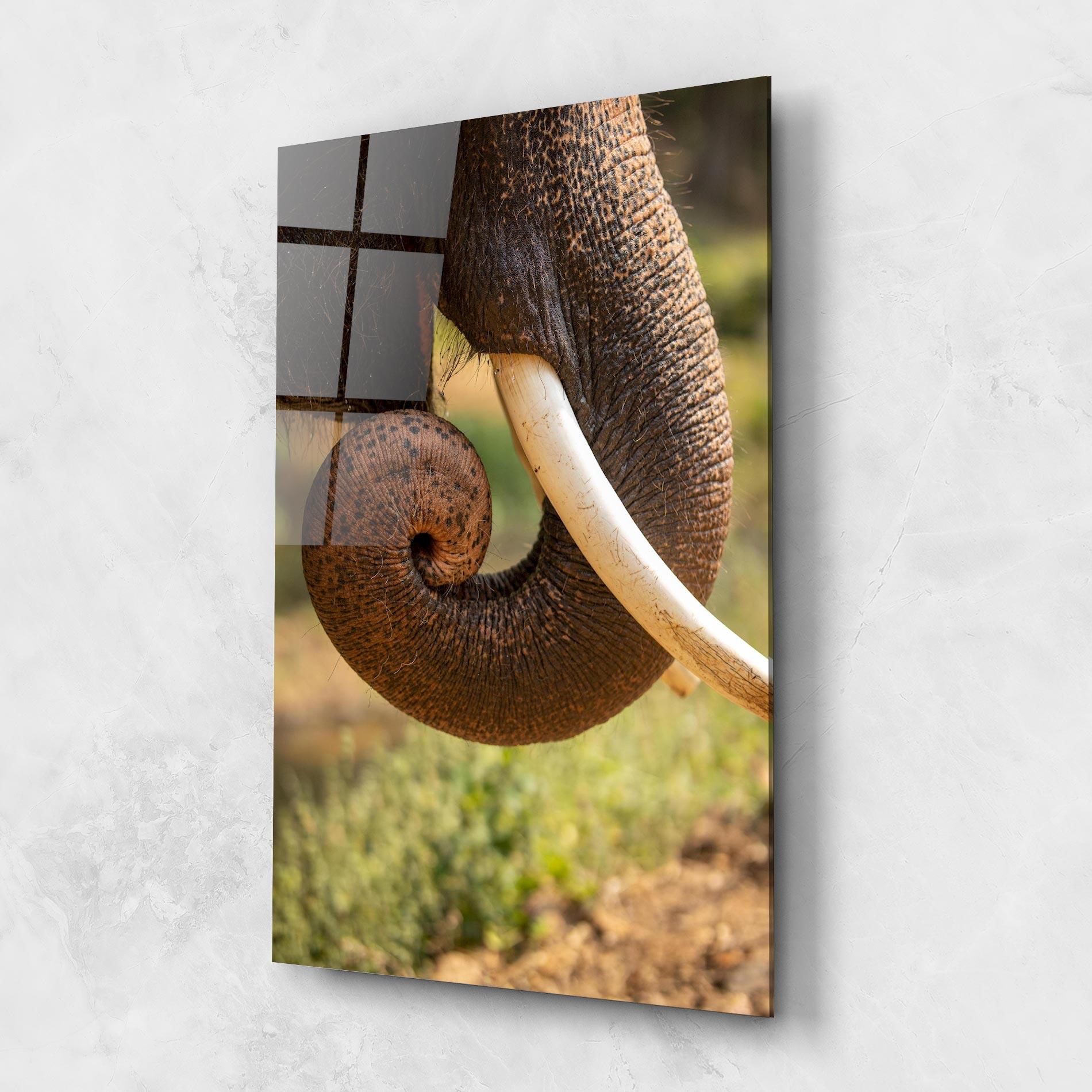 Стъклена картина Elephant Mouth Close Up mockup 1