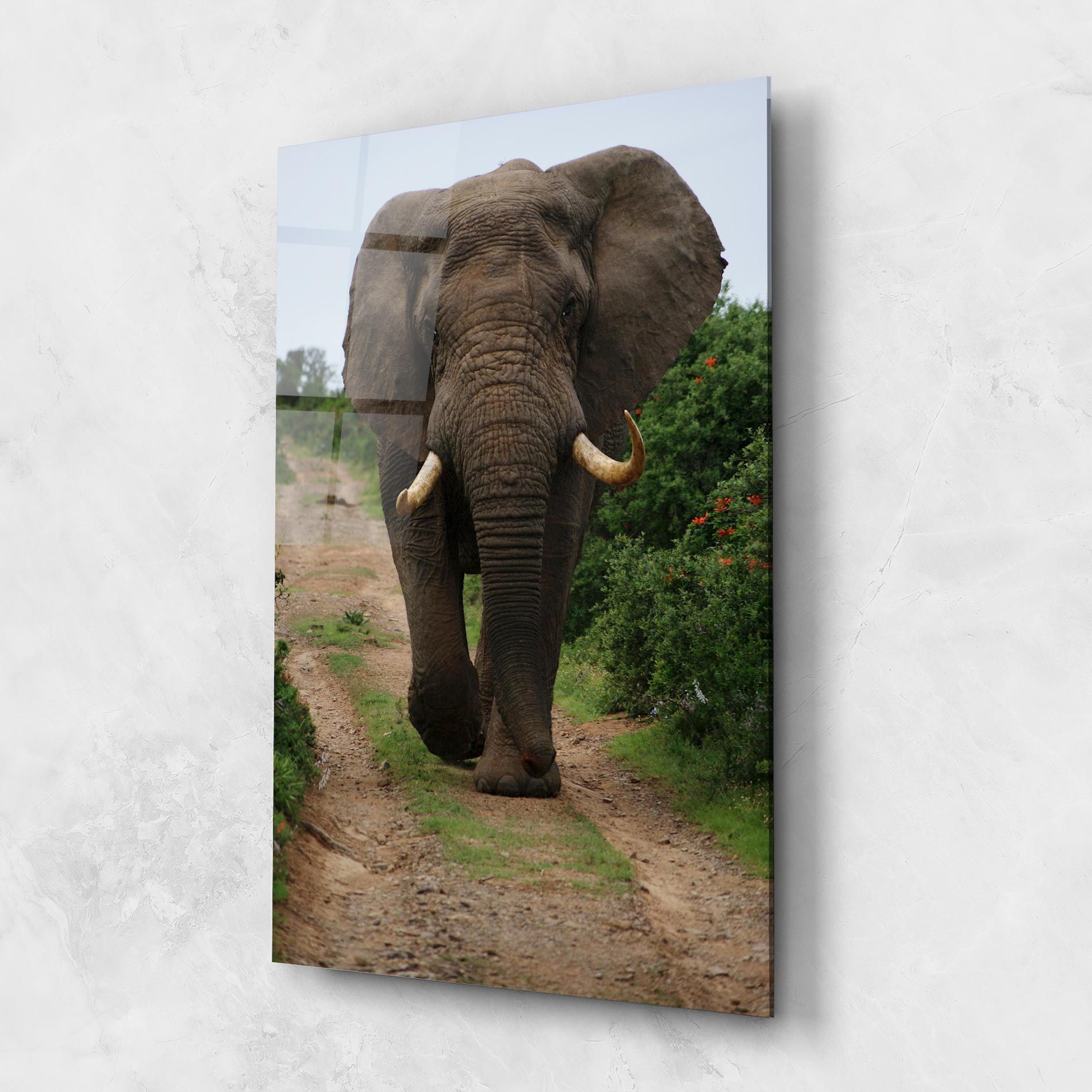 Elephant Safari mockup 1
