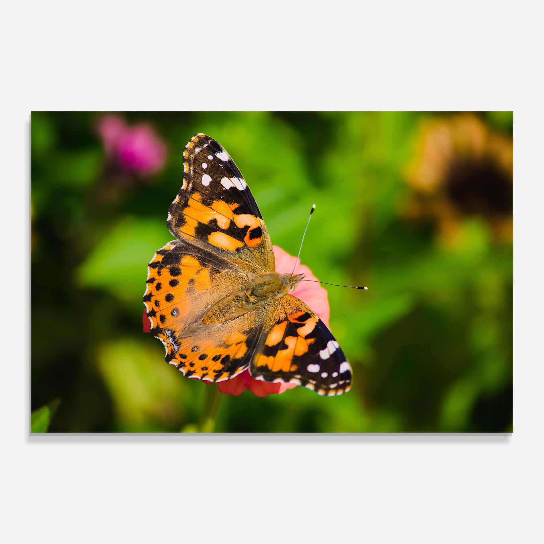 Стъклена картина Butterfly On Flower mockup 0
