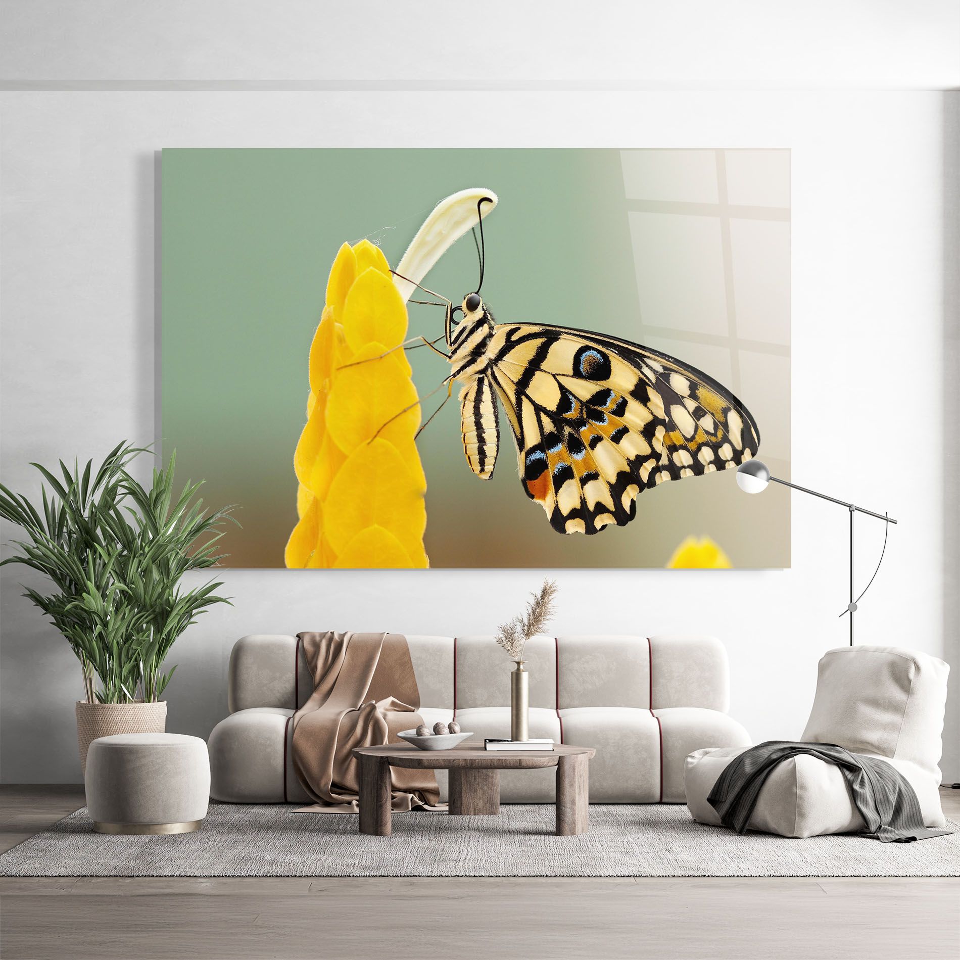Cream Yellow Butterfly mockup 9