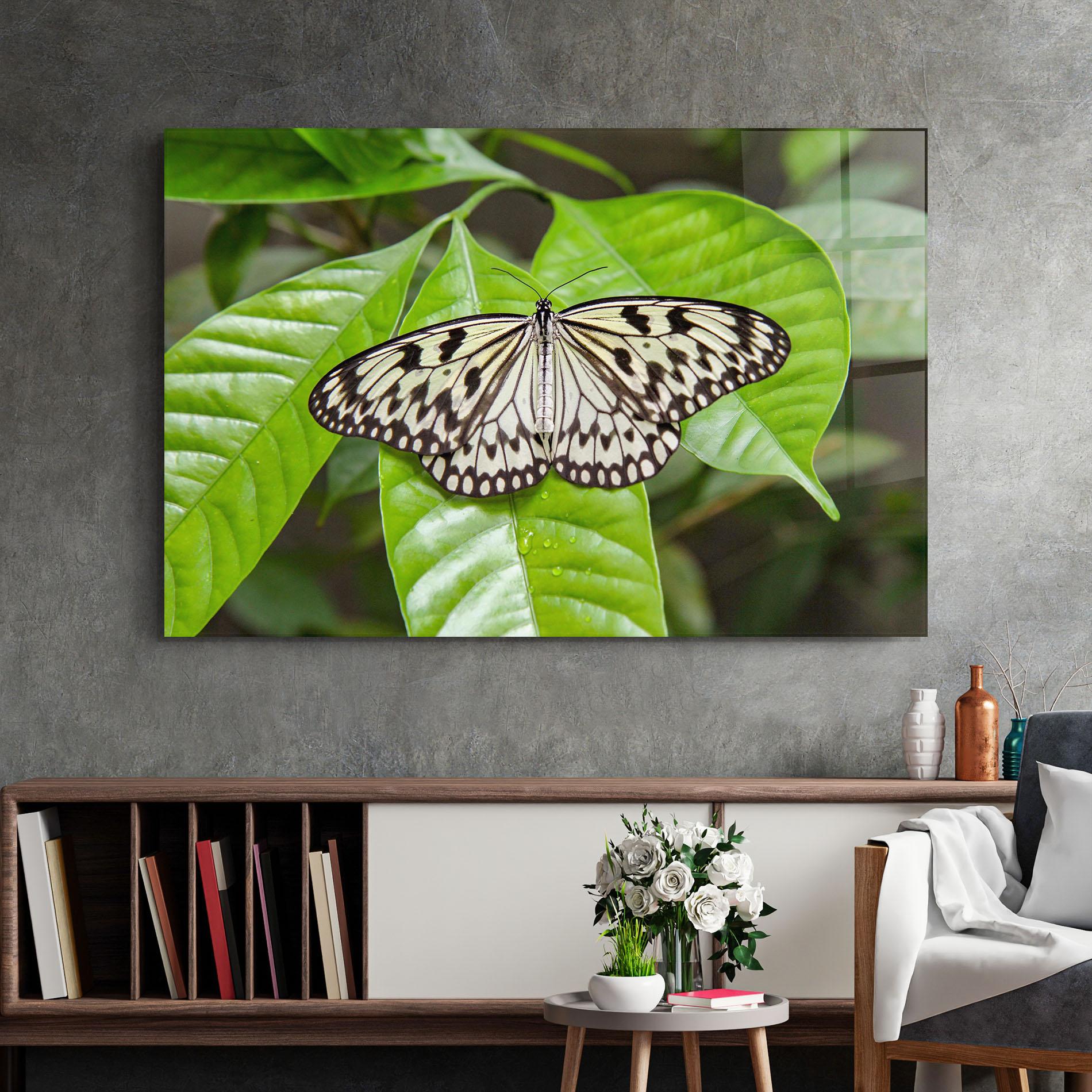 Стъклена картина Beautiful White Butterfly mockup 2