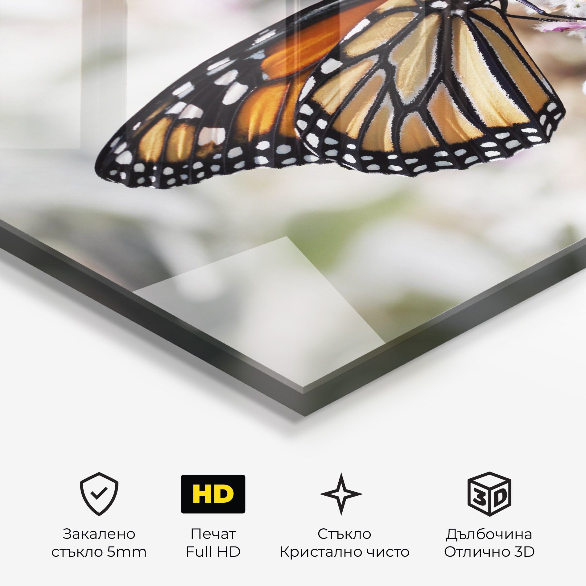 Beauty Butterfly mockup 3