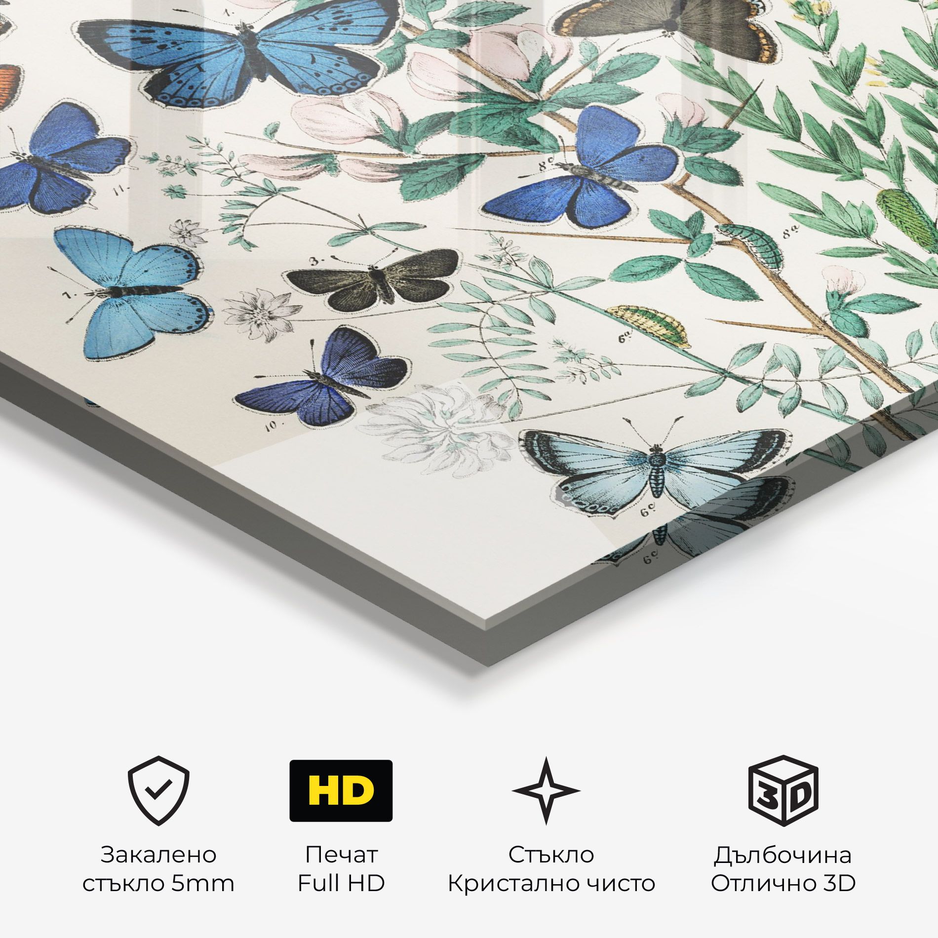 Blue Orange Butterflies mockup 3