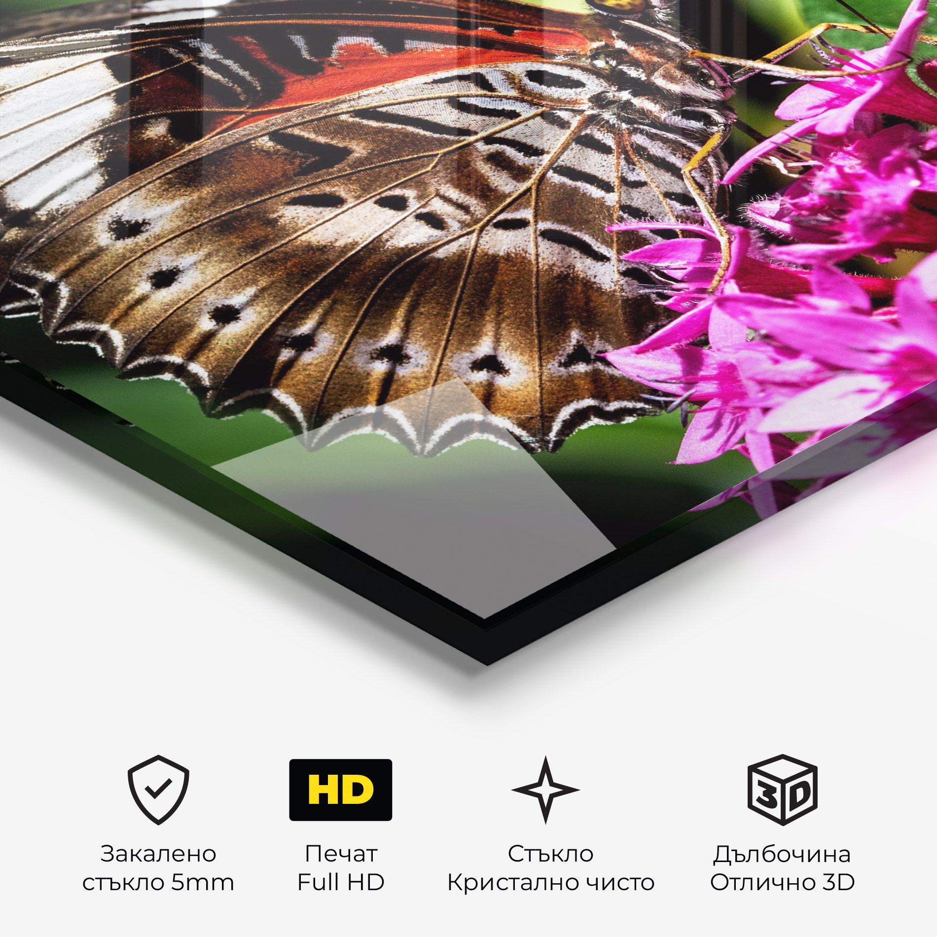 Brown Red Butterfly mockup 3