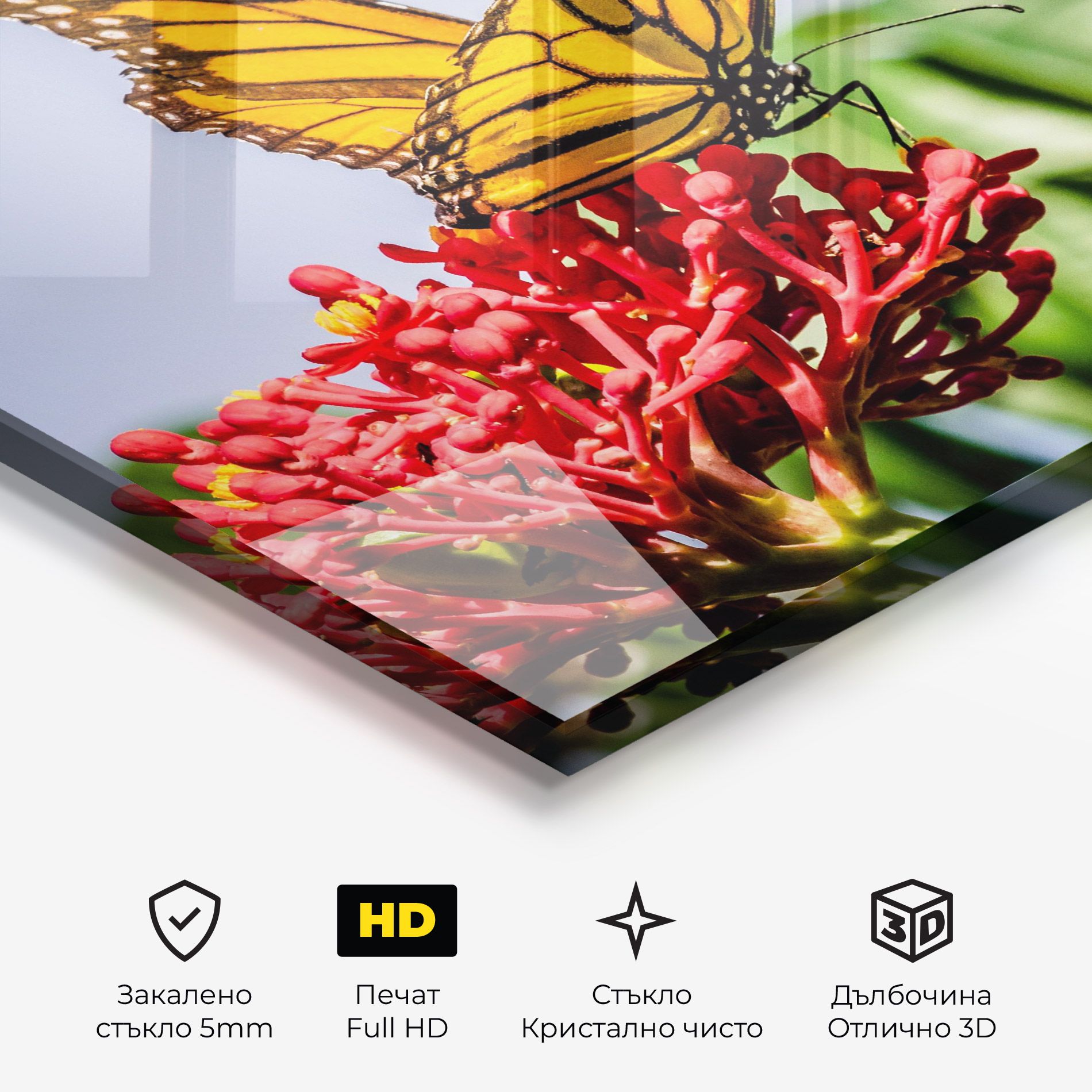 Butterfly On Red Flower mockup 3