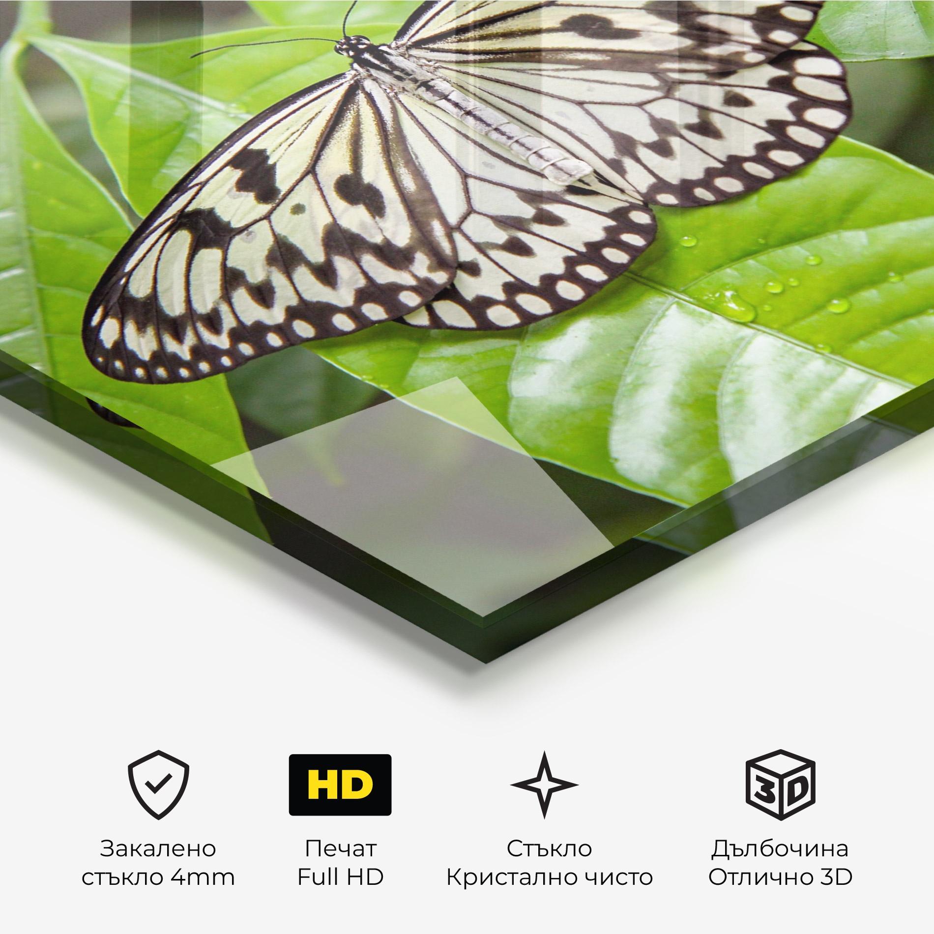 Стъклена картина Beautiful White Butterfly mockup 3