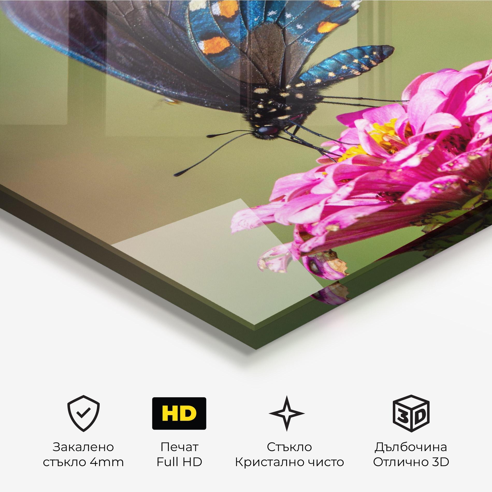 Стъклена картина Blue Grey Butterfly mockup 3