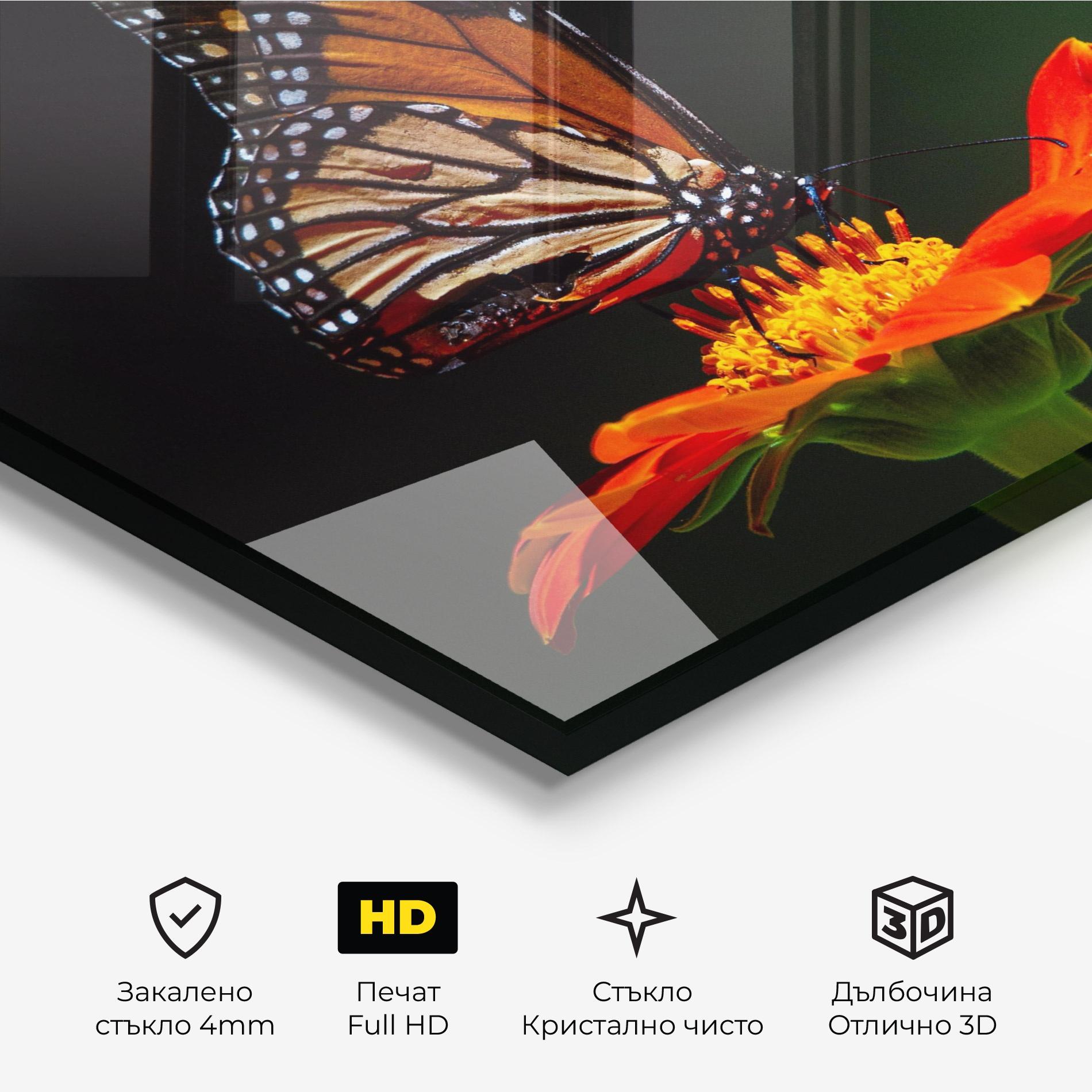 Стъклена картина Dark Orange Butterfy mockup 3