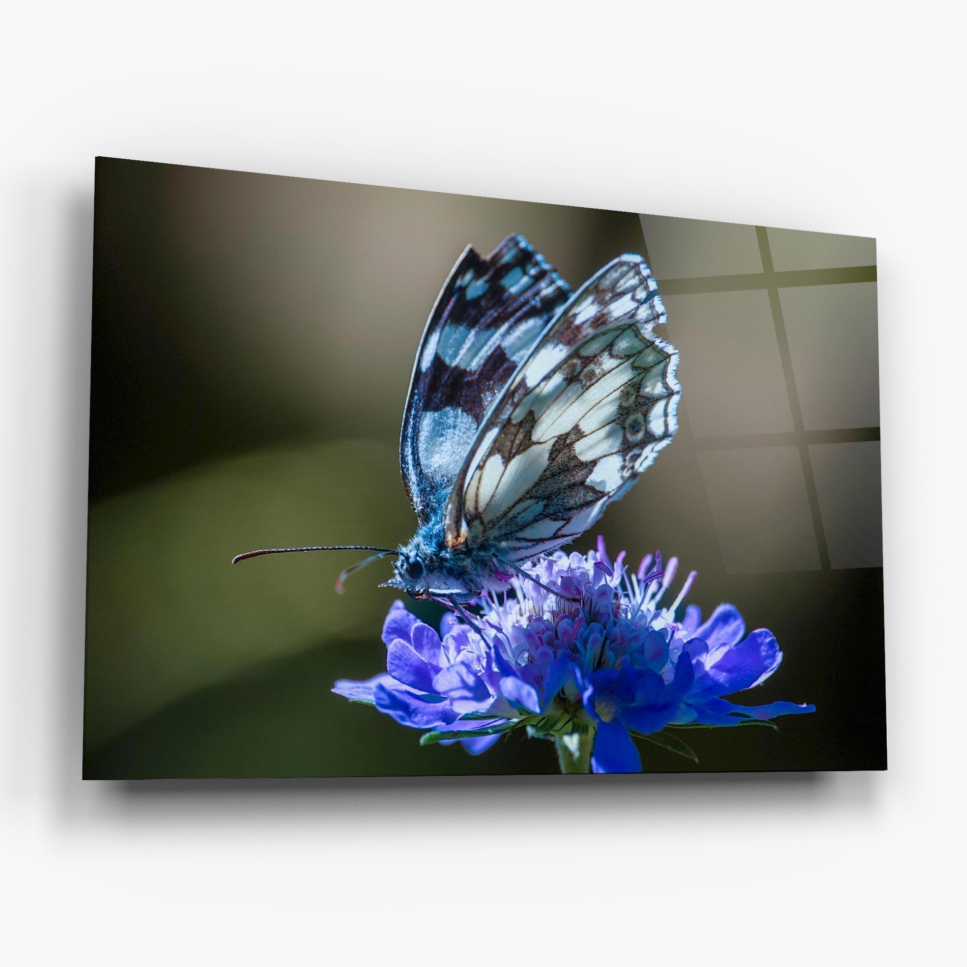 Стъклена картина Blue Butterfly In Nature mockup 6