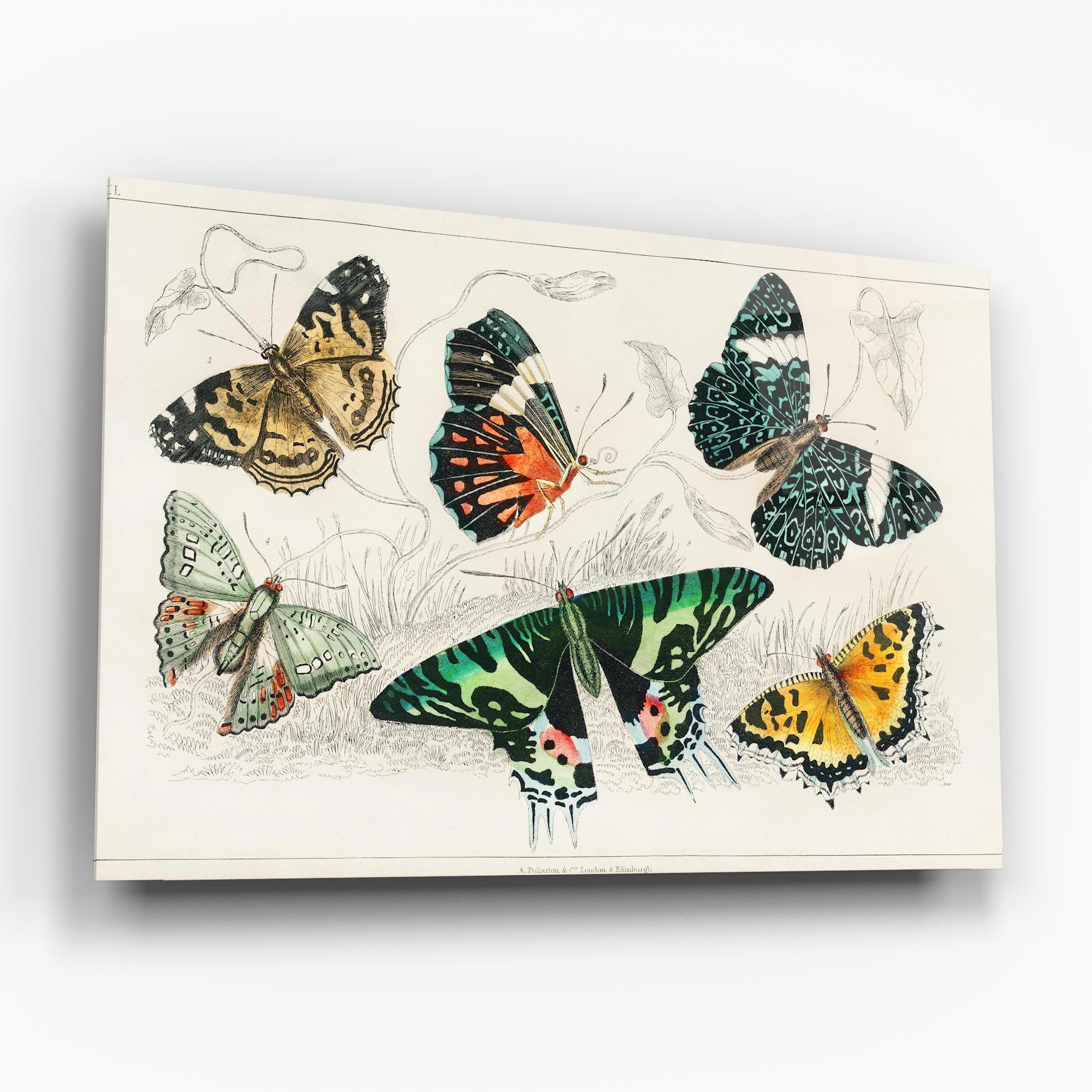 Стъклена картина Butterfly Art mockup 6