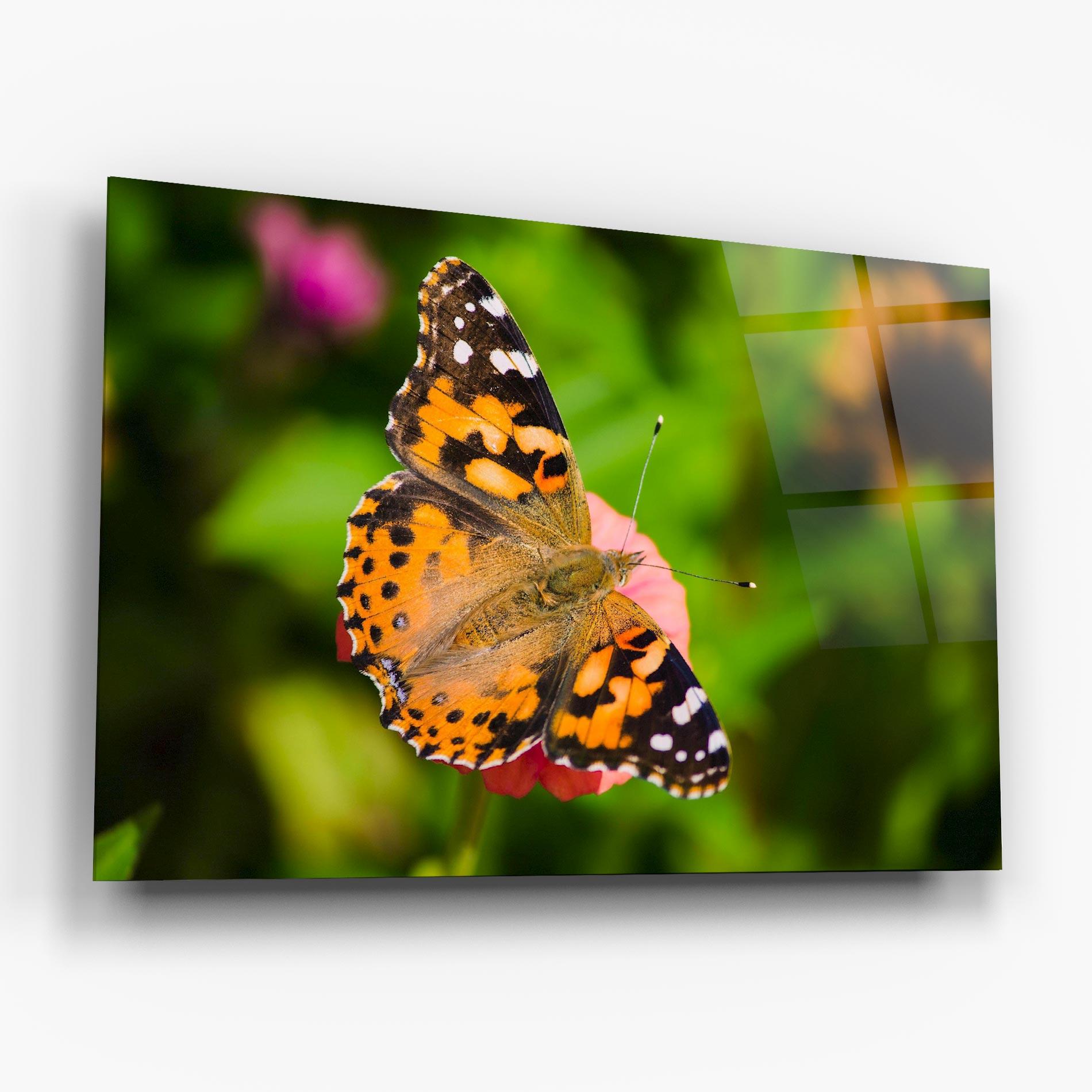 Стъклена картина Butterfly On Flower mockup 6