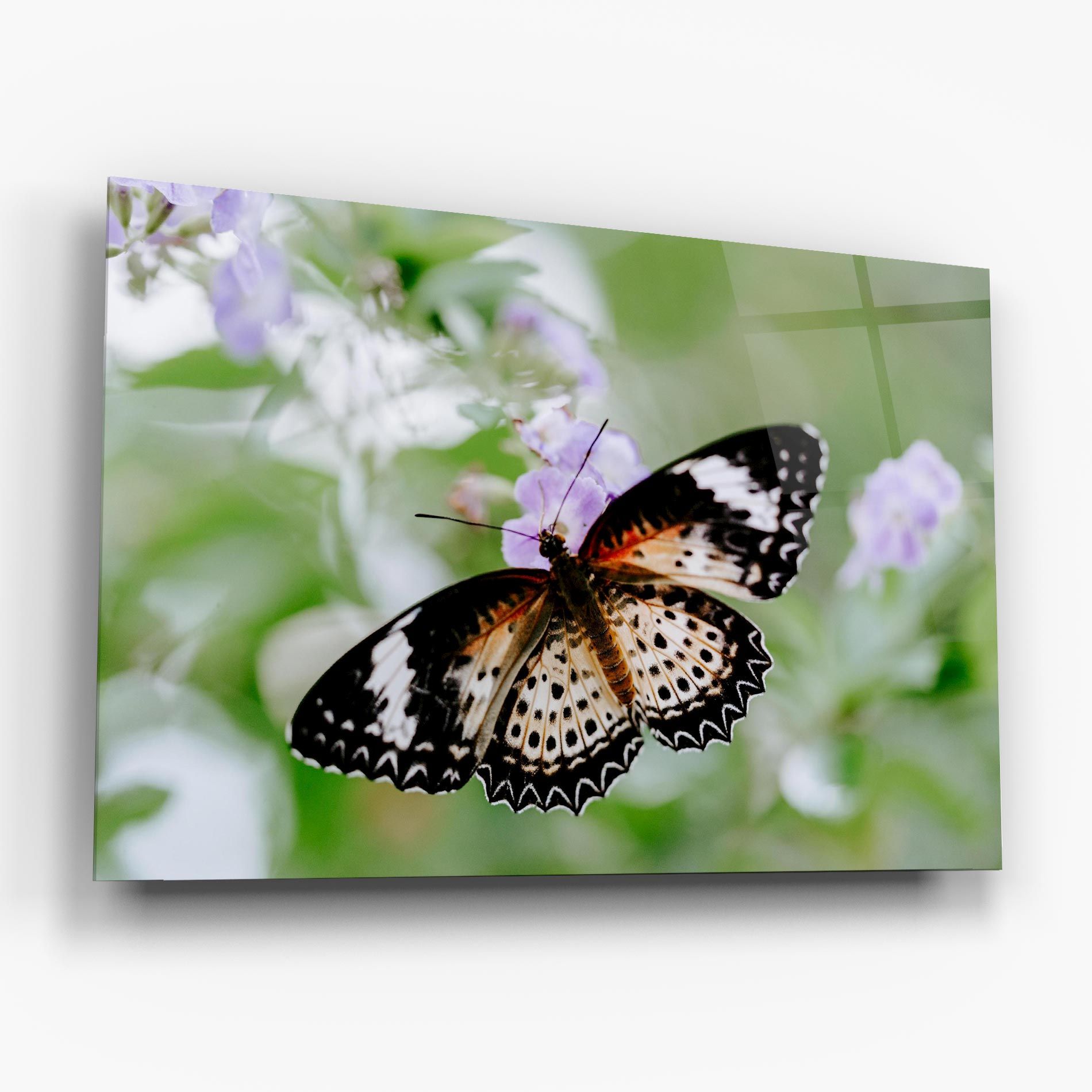 Cream Orange Butterfly mockup 6