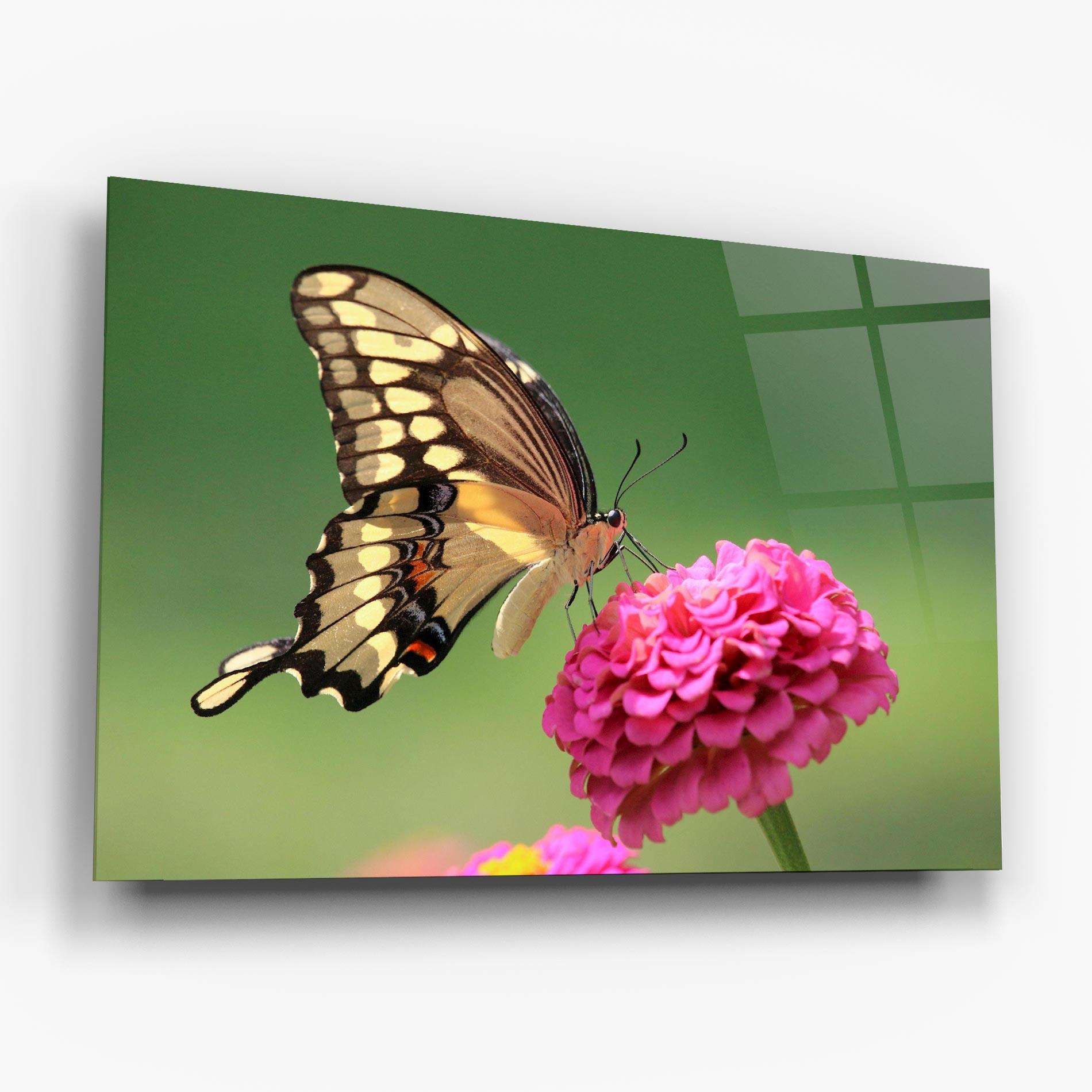 Стъклена картина Cute Cream Butterfly mockup 6