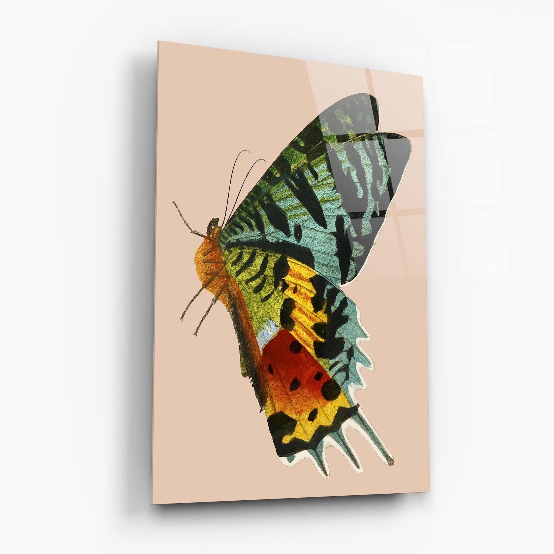 Стъклена картина Butterfly On Pink mockup 6