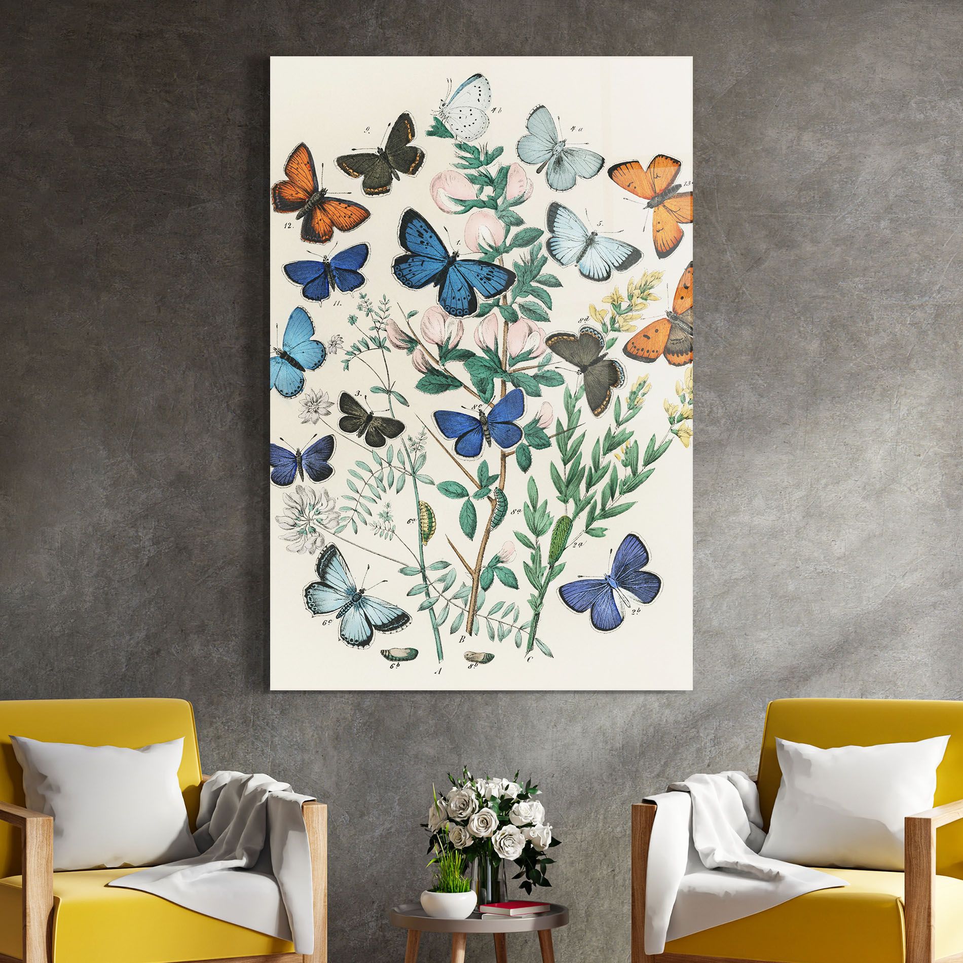 Blue Orange Butterflies mockup 4
