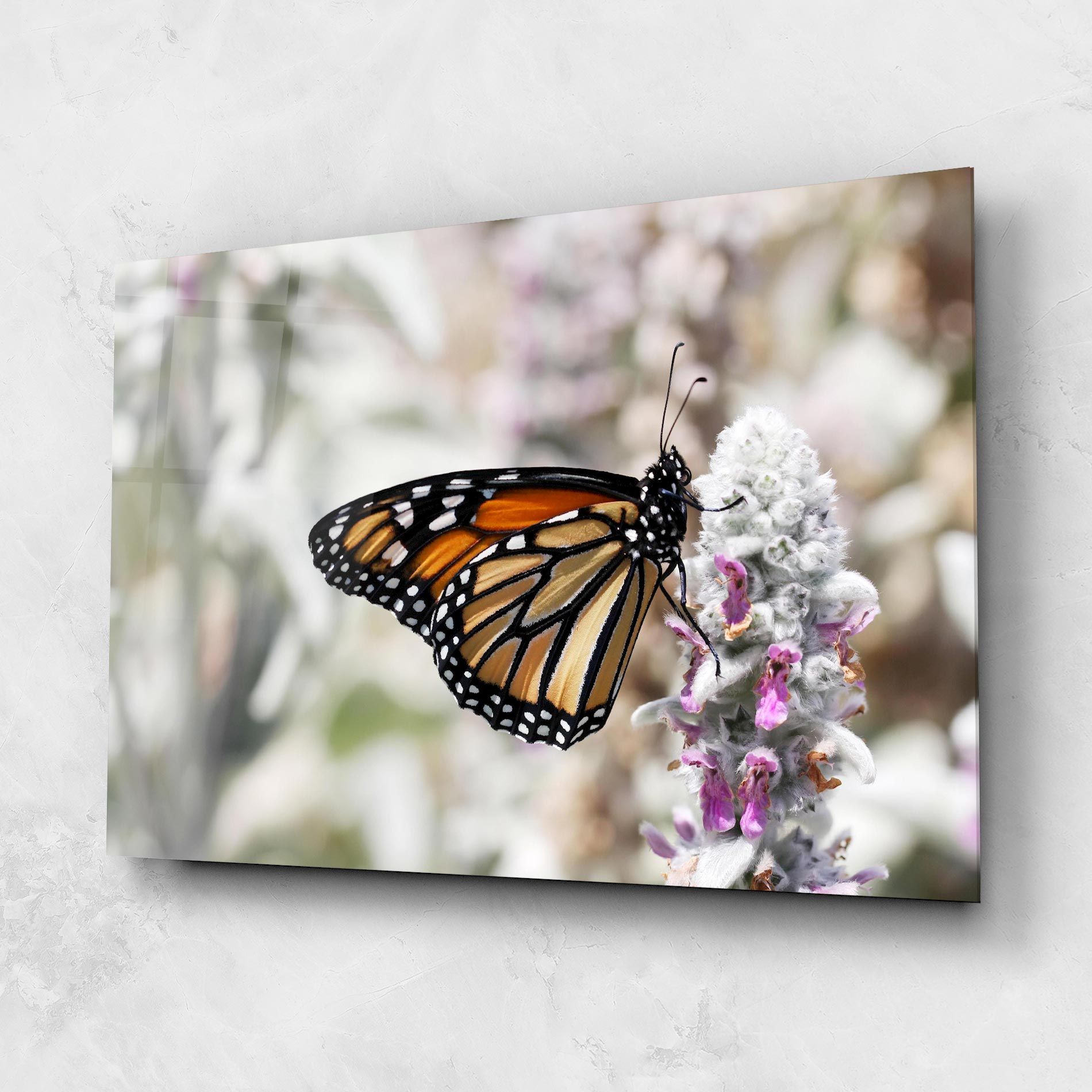 Beauty Butterfly mockup 1