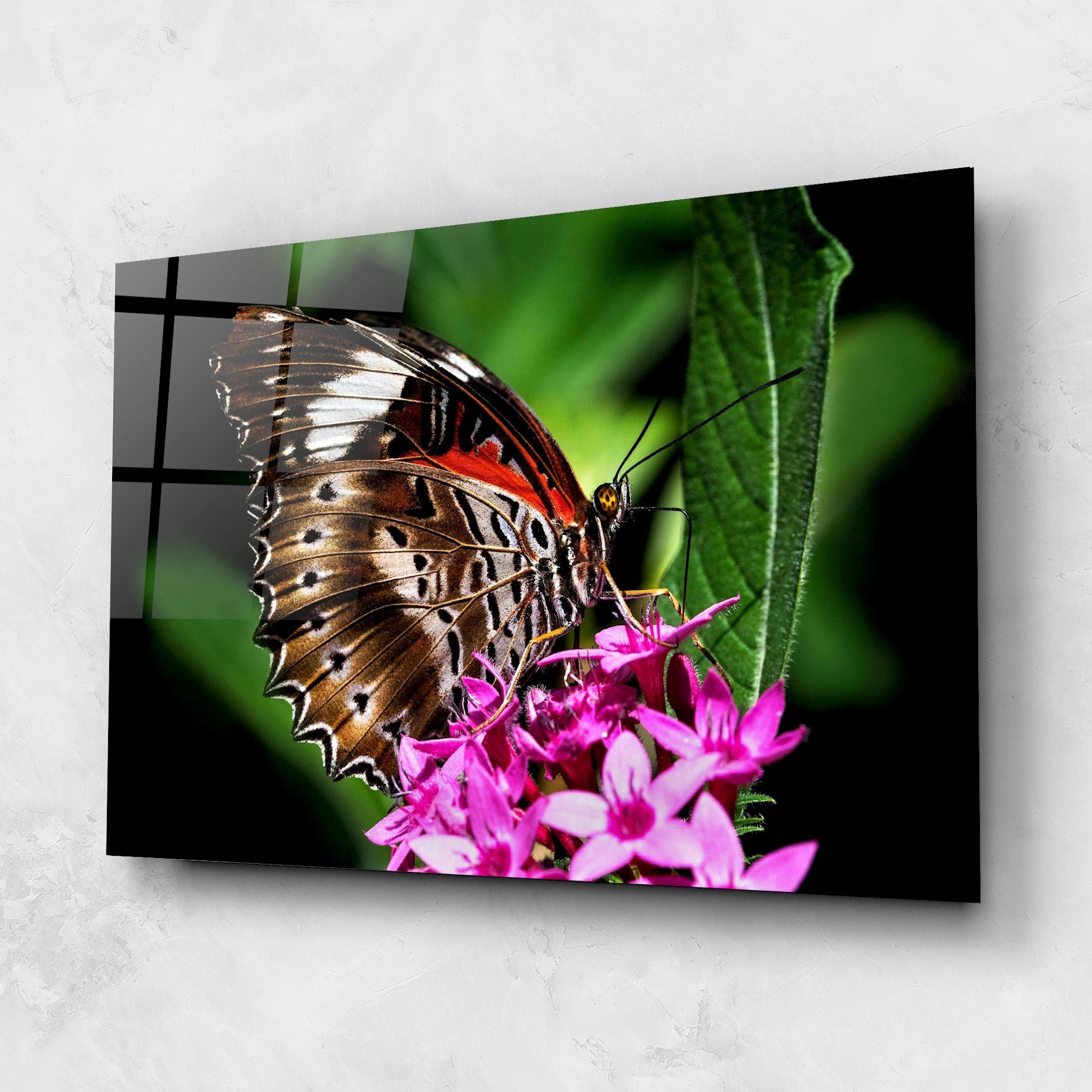 Brown Red Butterfly mockup 1