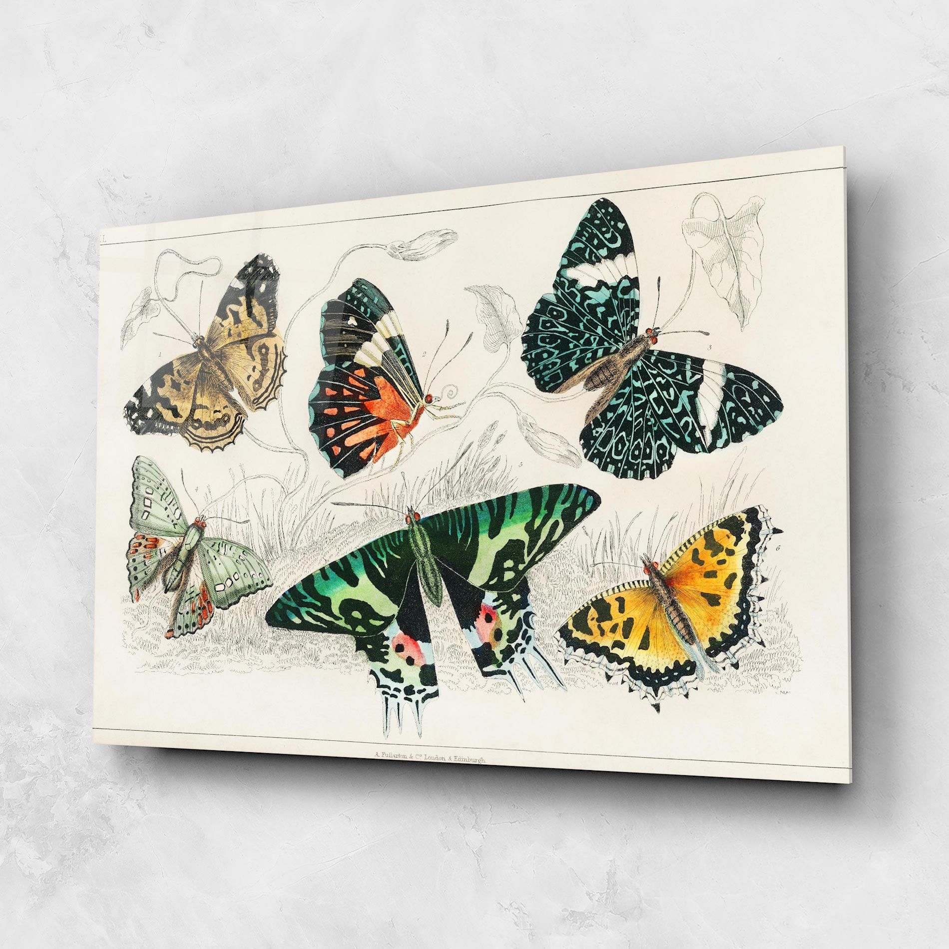 Butterfly Art mockup 1