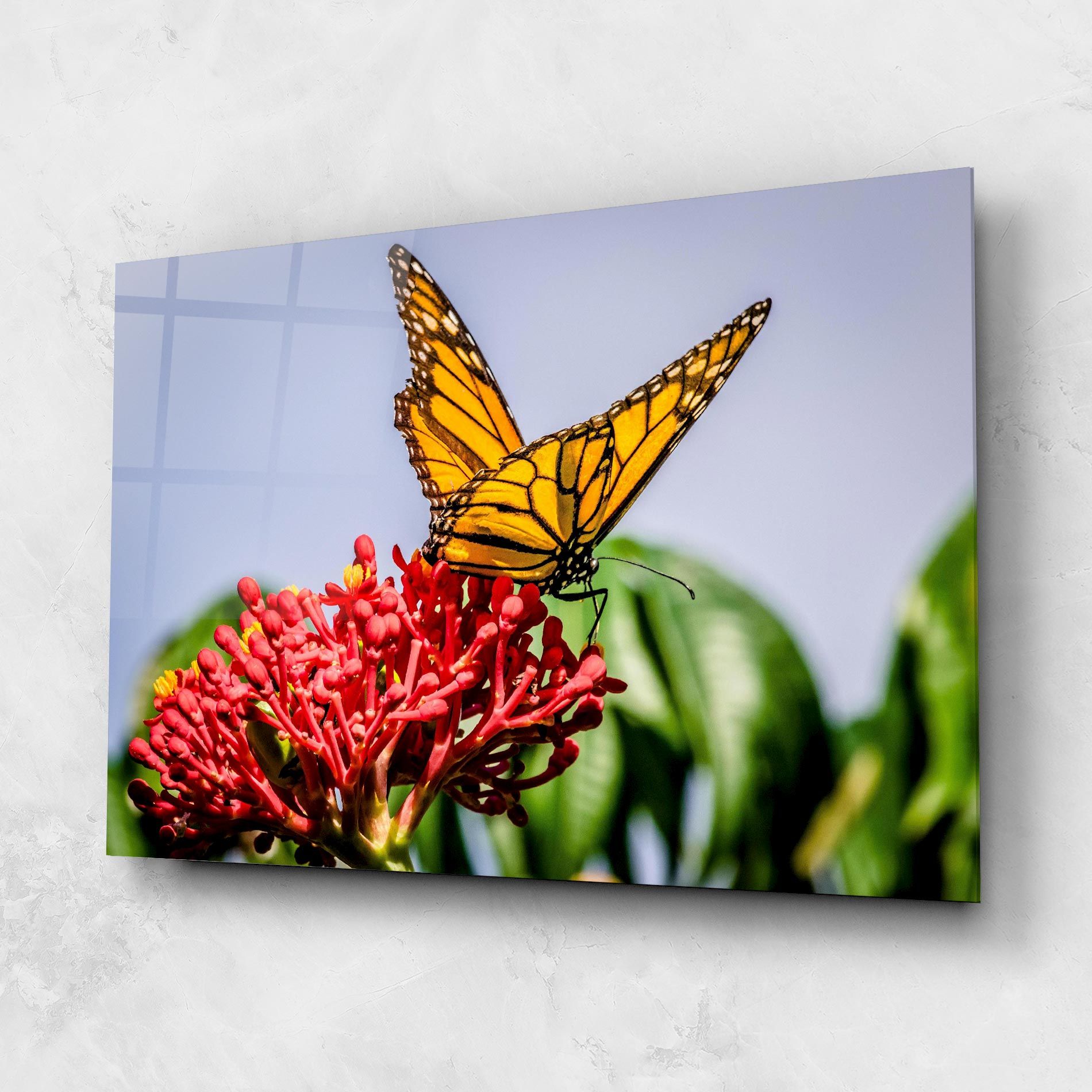 Butterfly On Red Flower mockup 1