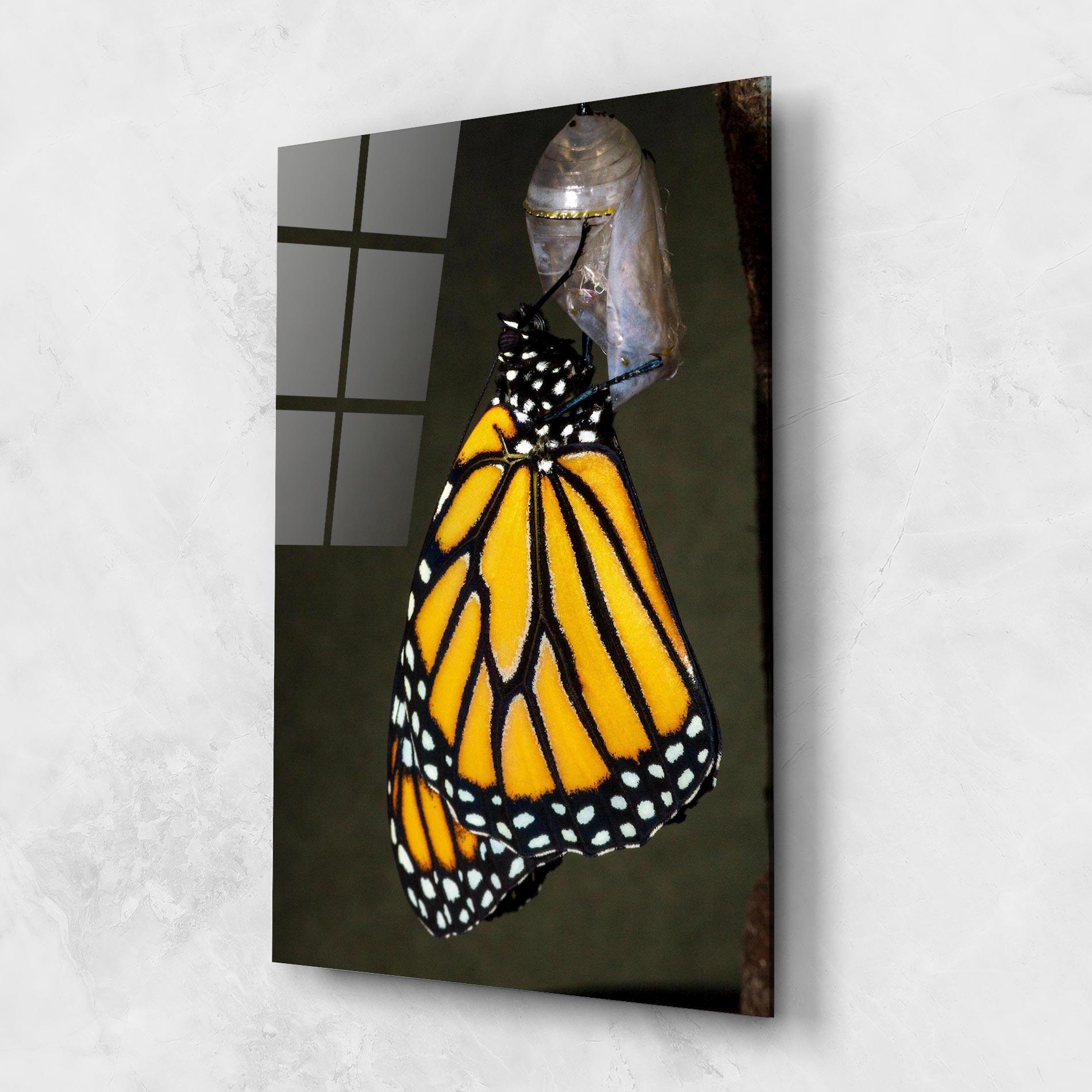 Стъклена картина Dark Yellow Butterfly mockup 1