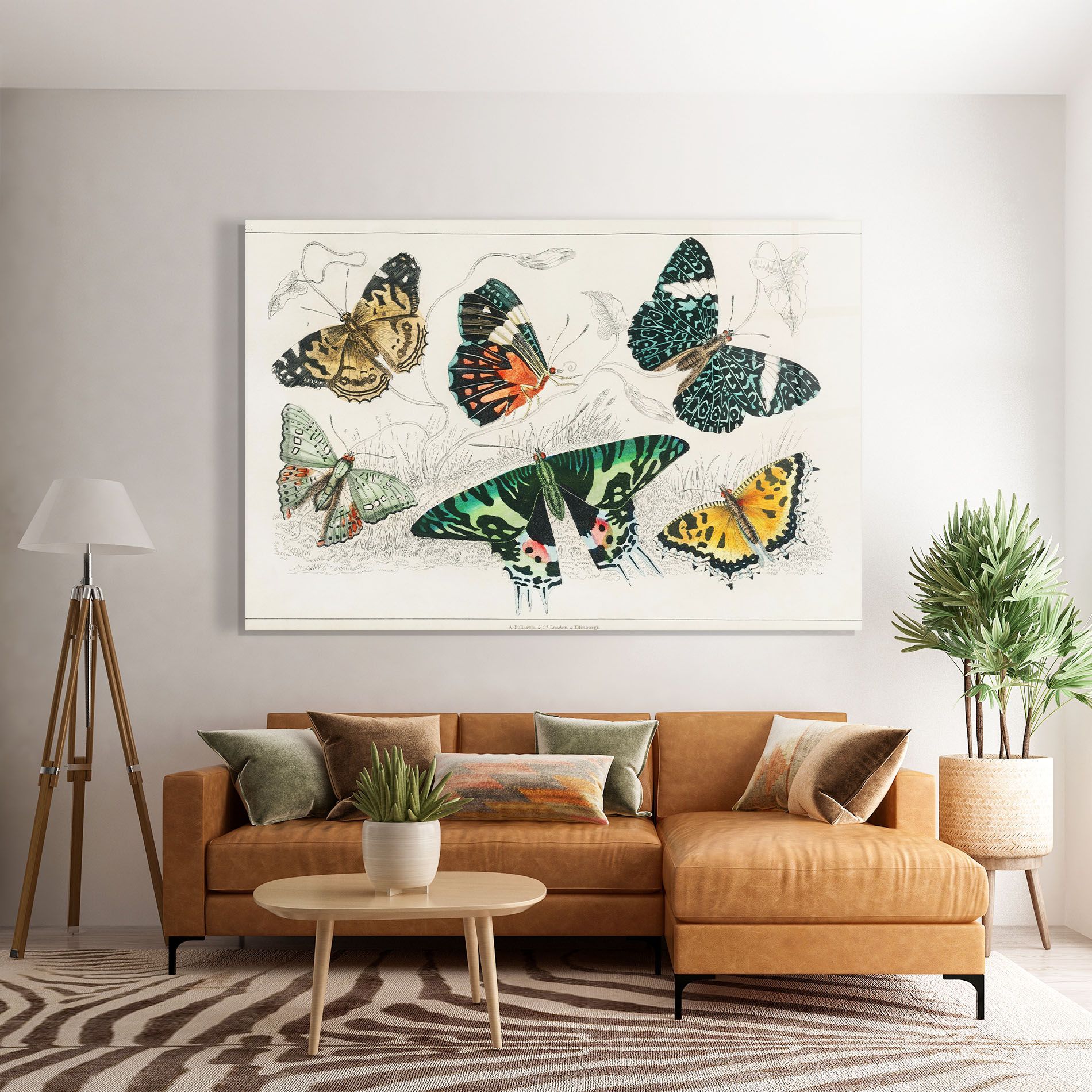 Butterfly Art mockup 7