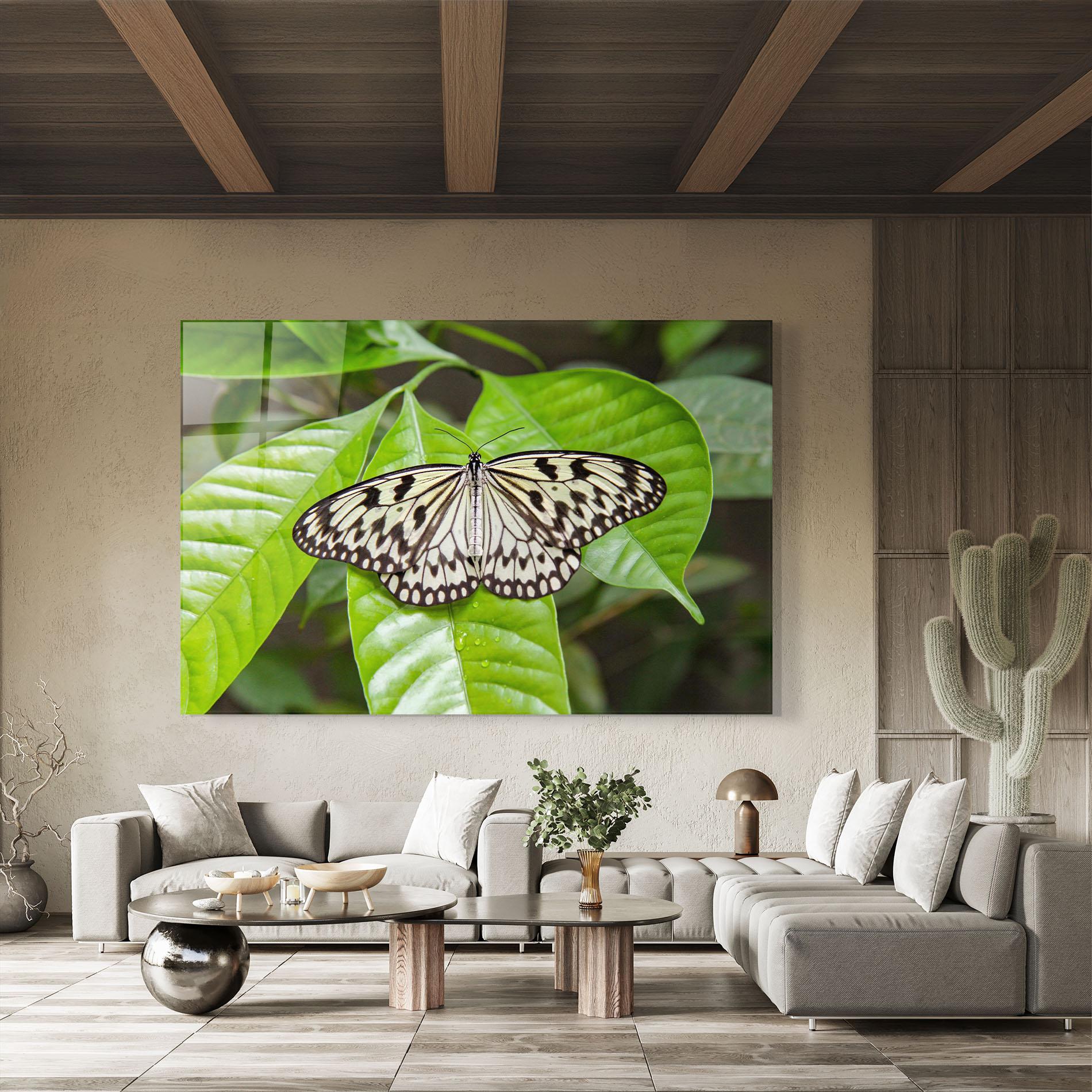 Стъклена картина Beautiful White Butterfly mockup 8