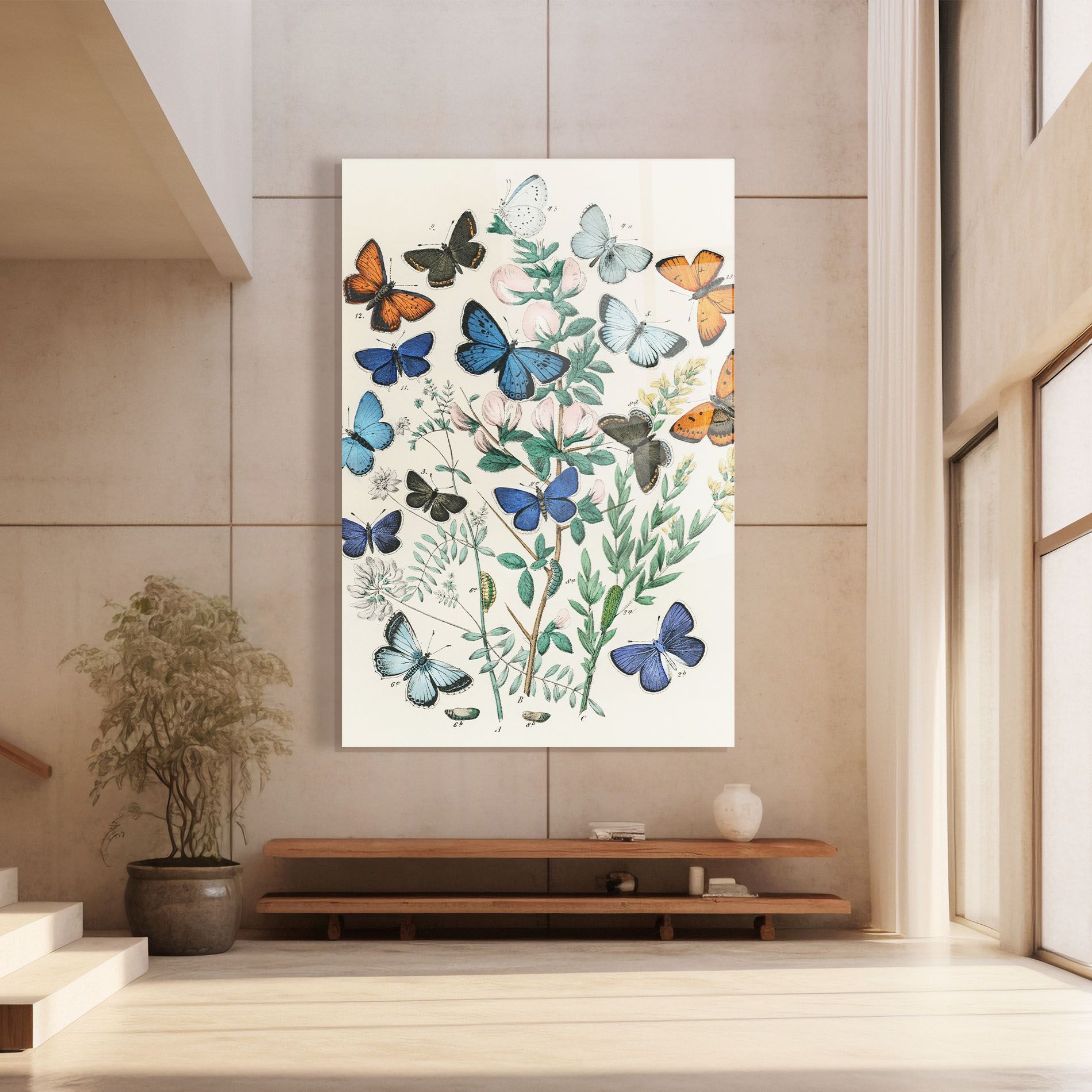 Blue Orange Butterflies mockup 8