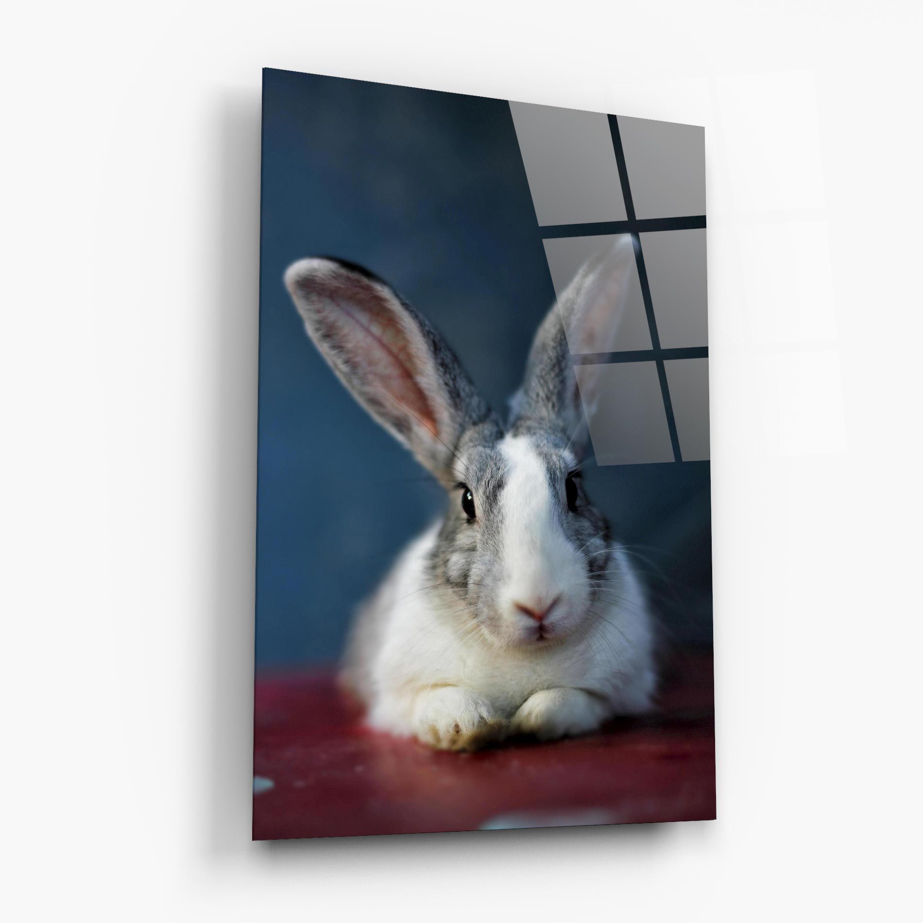 Cute Grey Bunny mockup 6