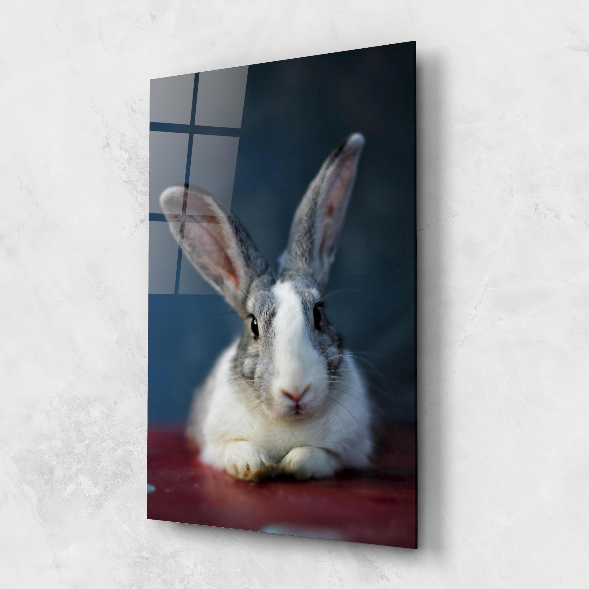 Стъклена картина Cute Grey Bunny mockup 1