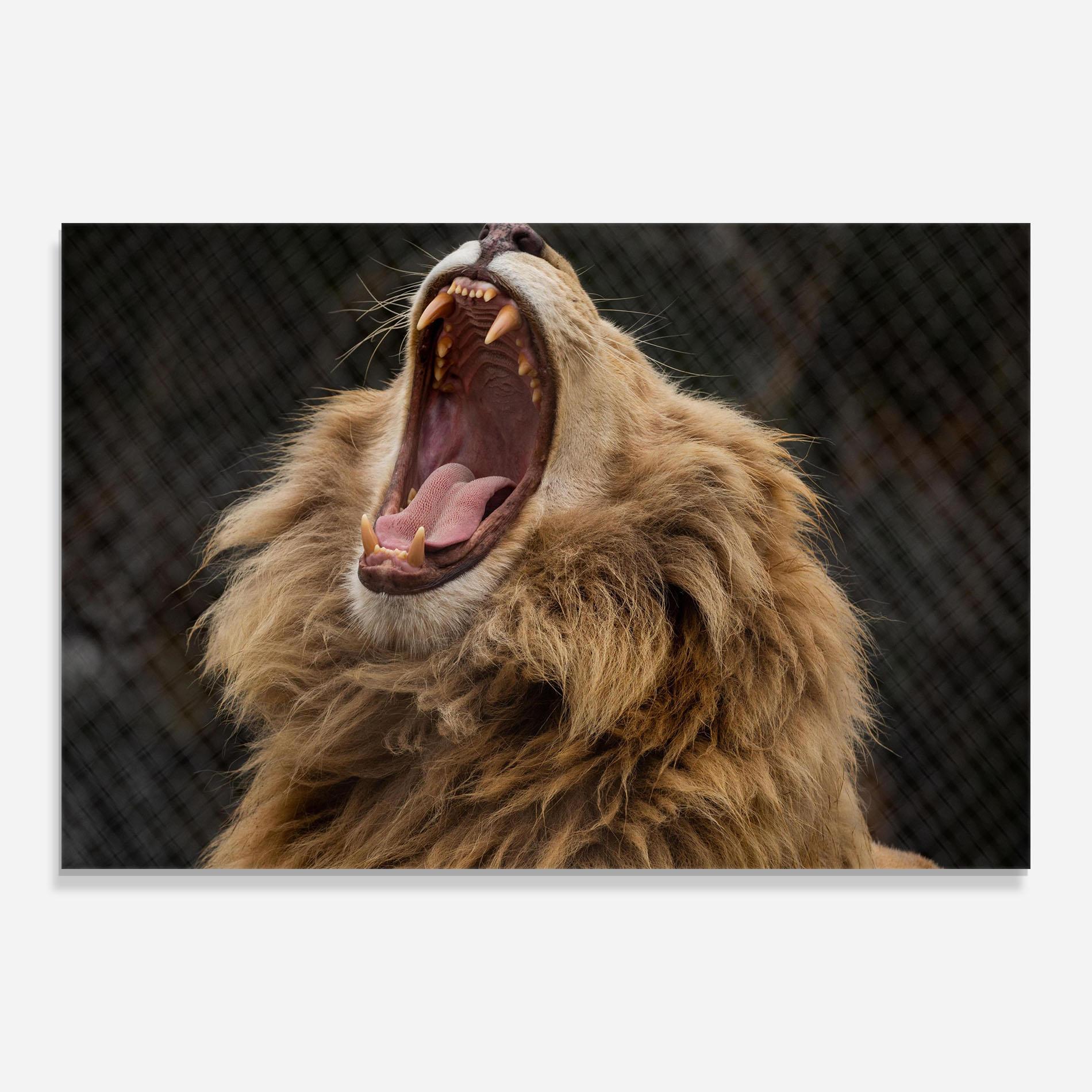 Стъклена картина Angry Lion mockup 0