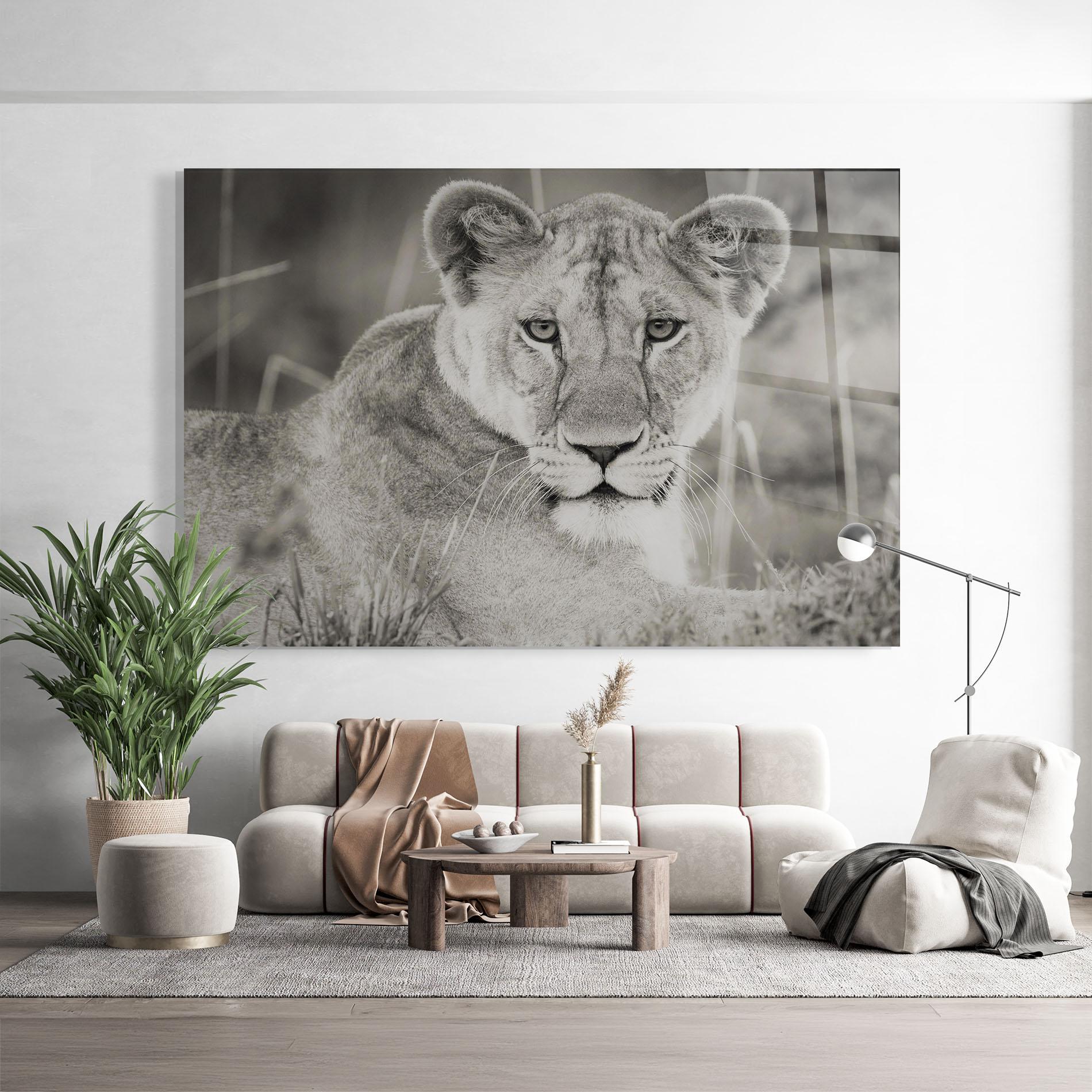 Стъклена картина Grey Female Lion Looking mockup 9