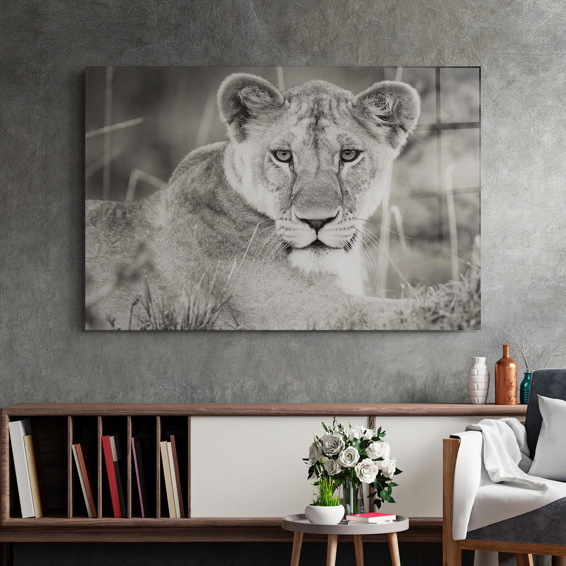 Стъклена картина Grey Female Lion Looking mockup 2