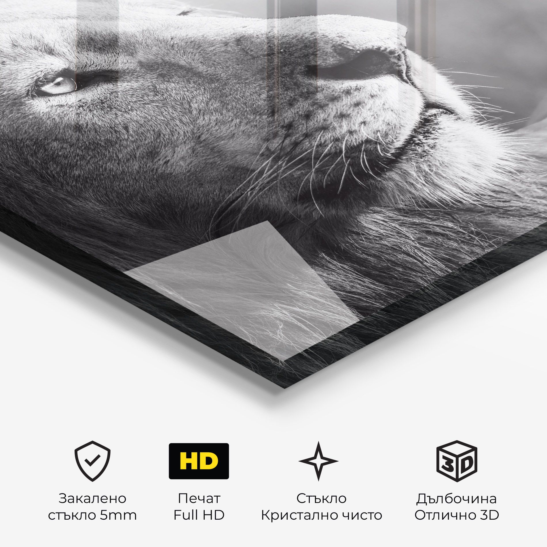 Grey Lion Head mockup 3