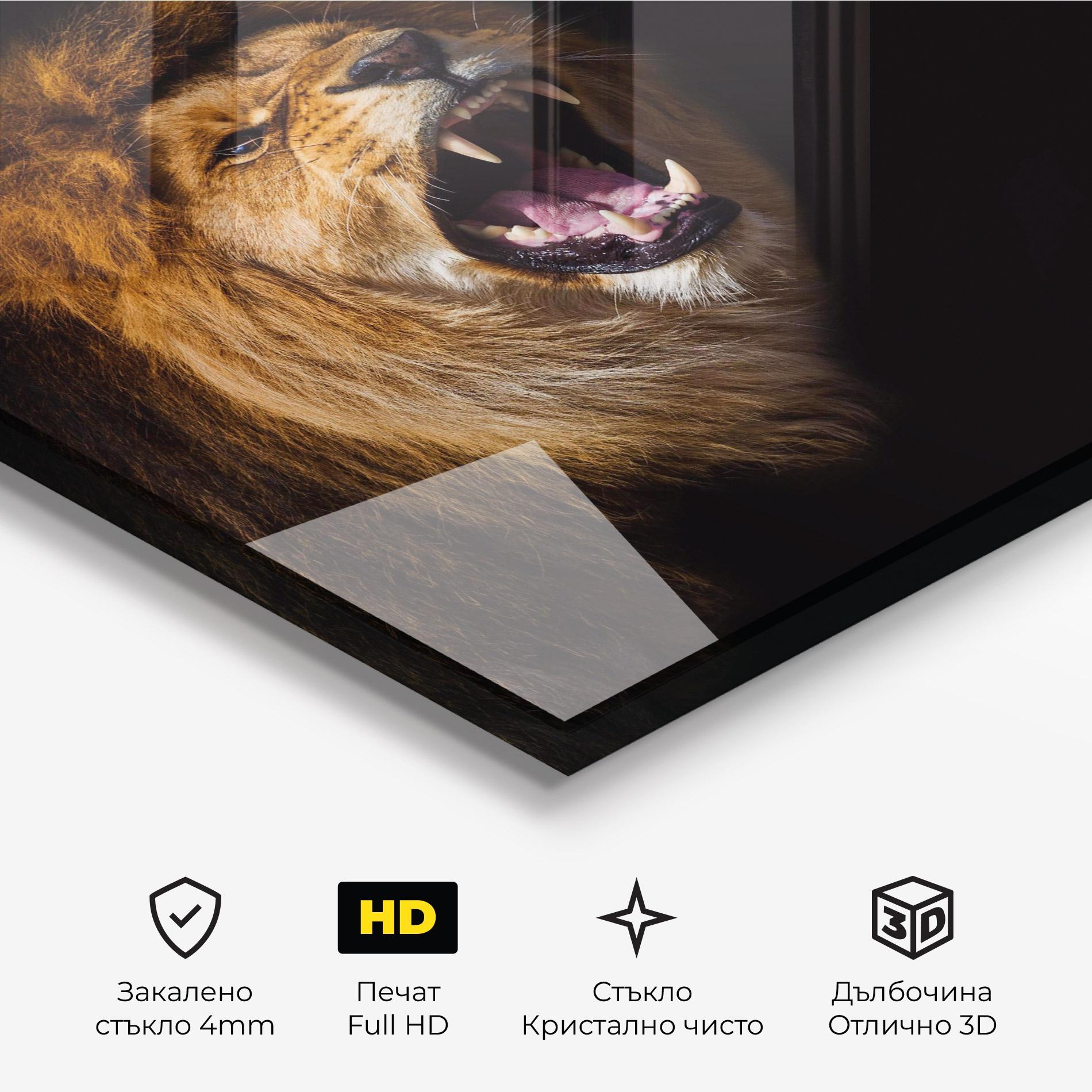 Стъклена картина Beautiful Lion Portrait mockup 3