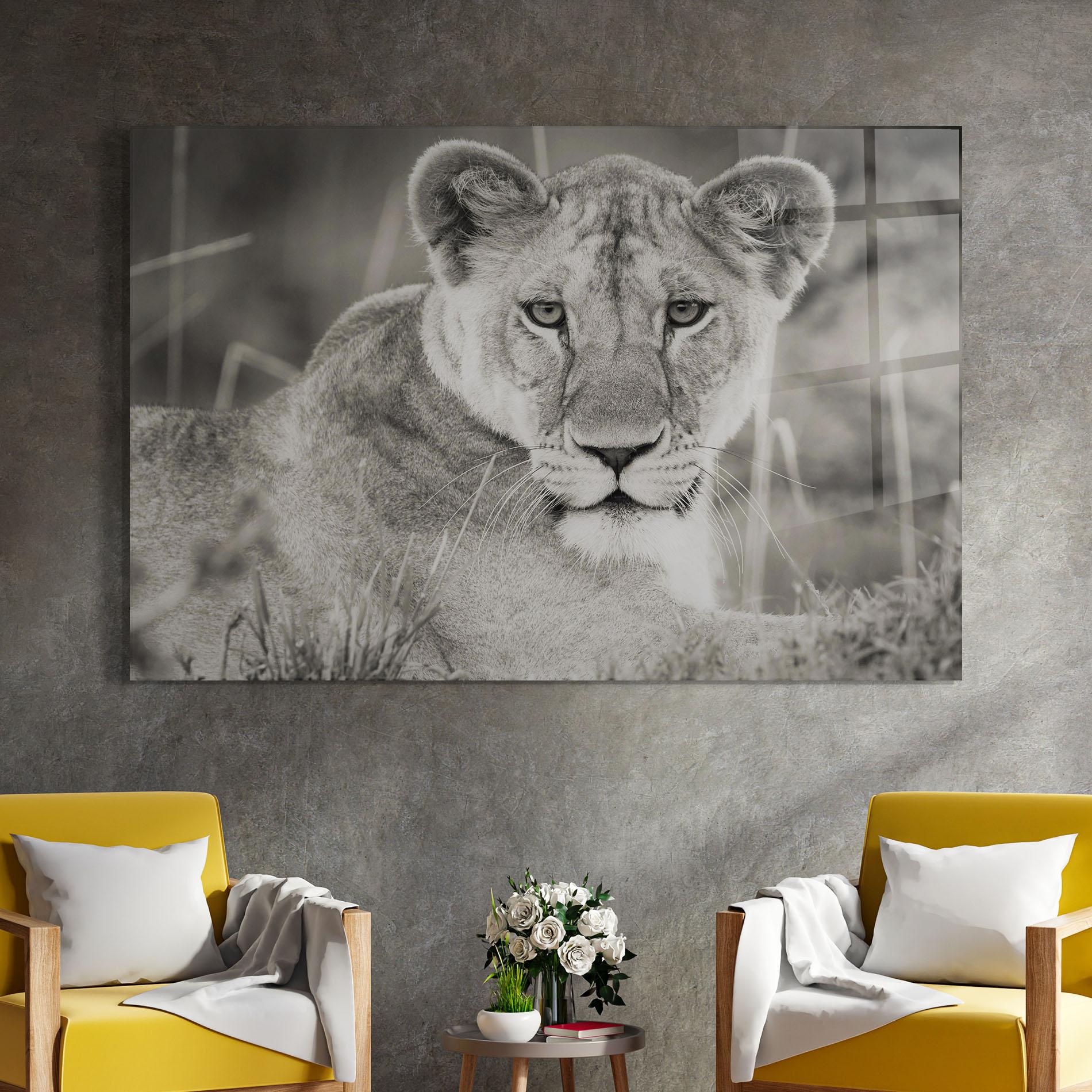 Стъклена картина Grey Female Lion Looking mockup 4