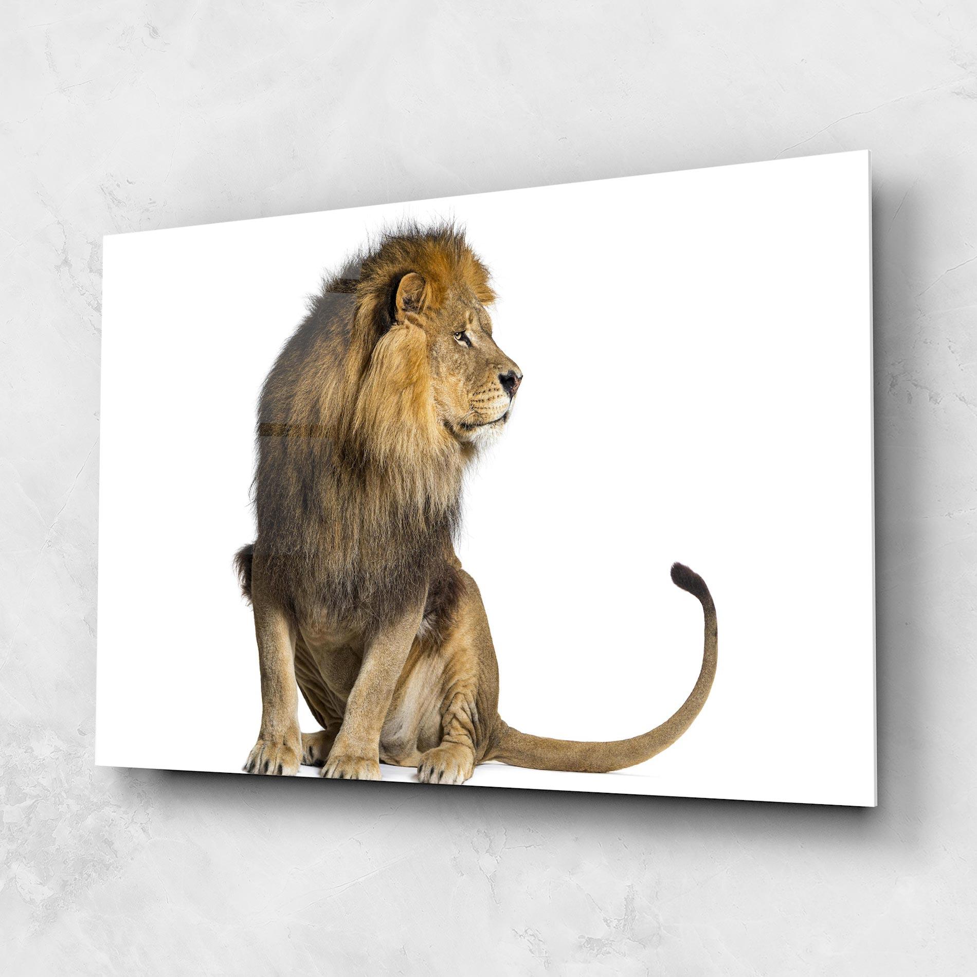 Стъклена картина Big Lion mockup 1